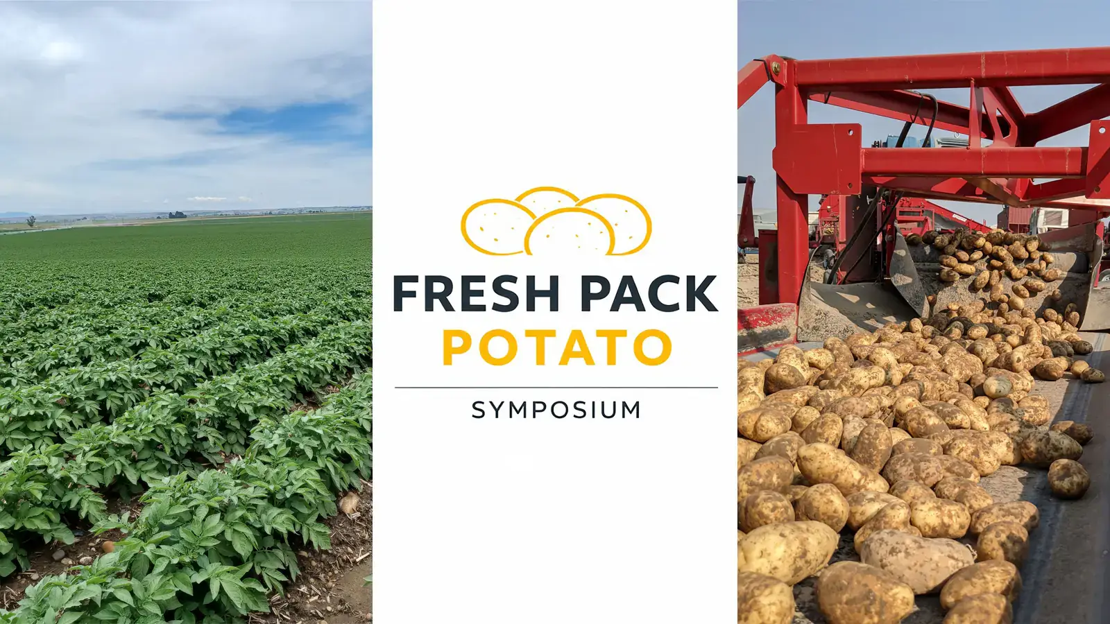 Fresh pack potato symposium banner that include a potato field and potato conveyer