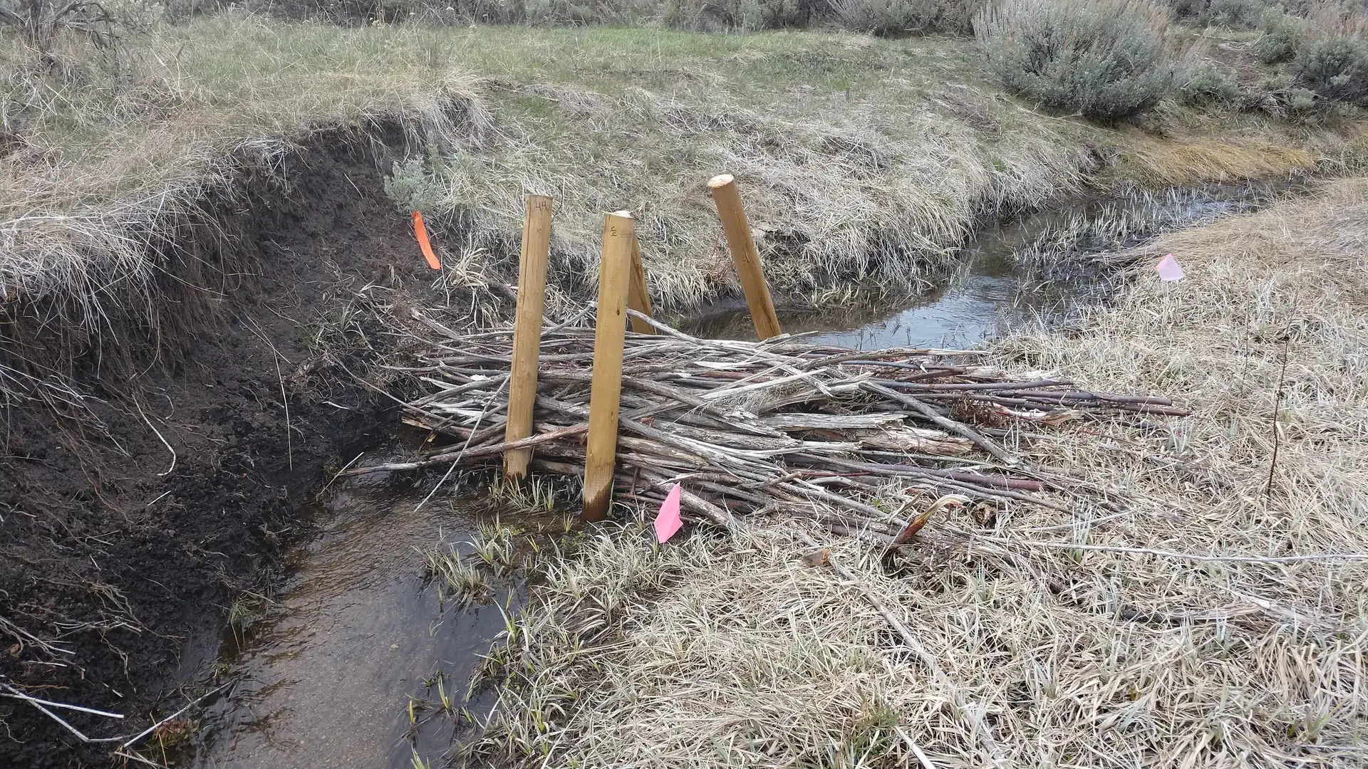 UI Extension program photos and files in counties