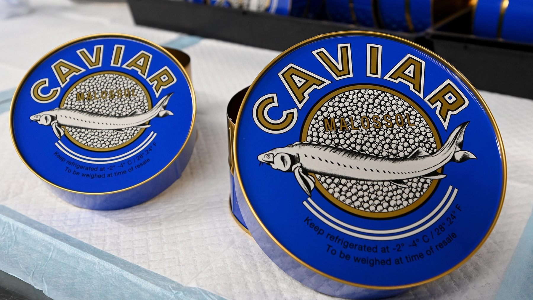 Two circular, blue tins of caviar featuring a picture of a white sturgeon are displayed on a table.
