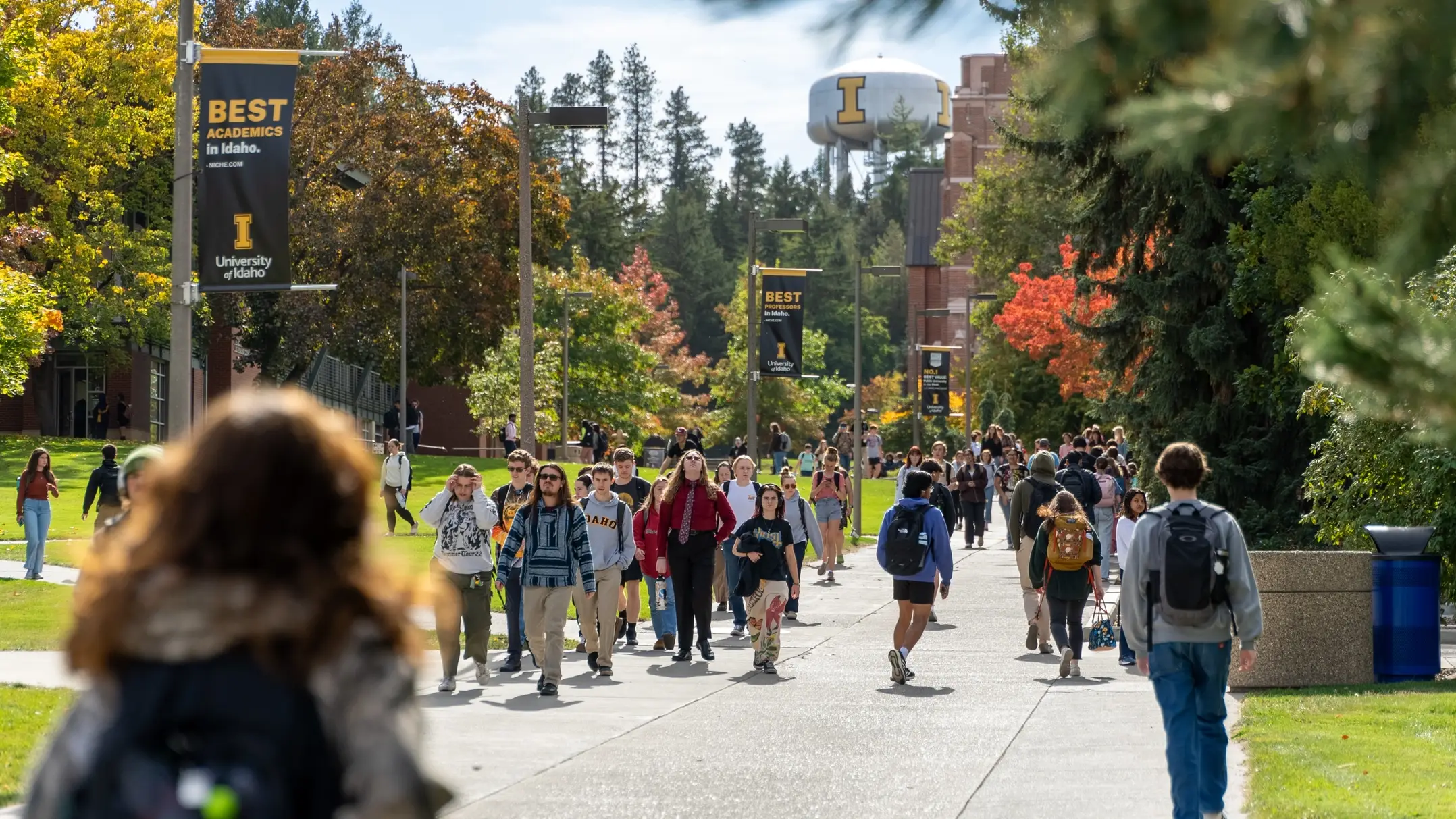 Students walk on campus.