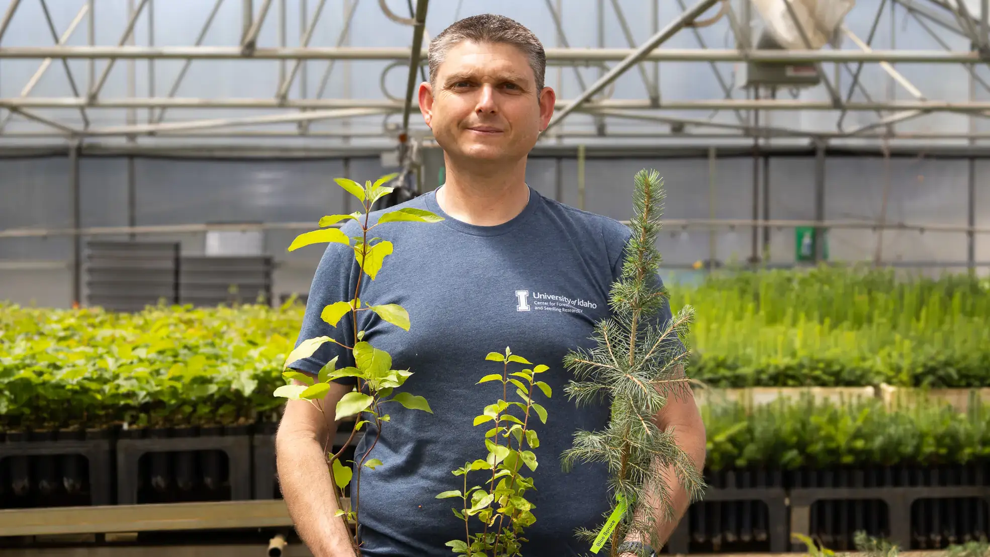 A man stands in a greenhouse holding a tray with three plants.