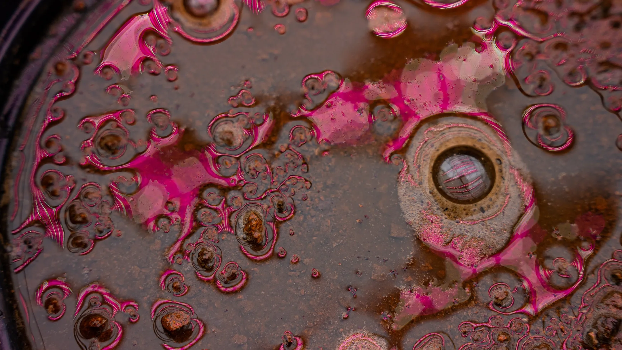 Closeup of magnifying glass with pink bacteria and dirt