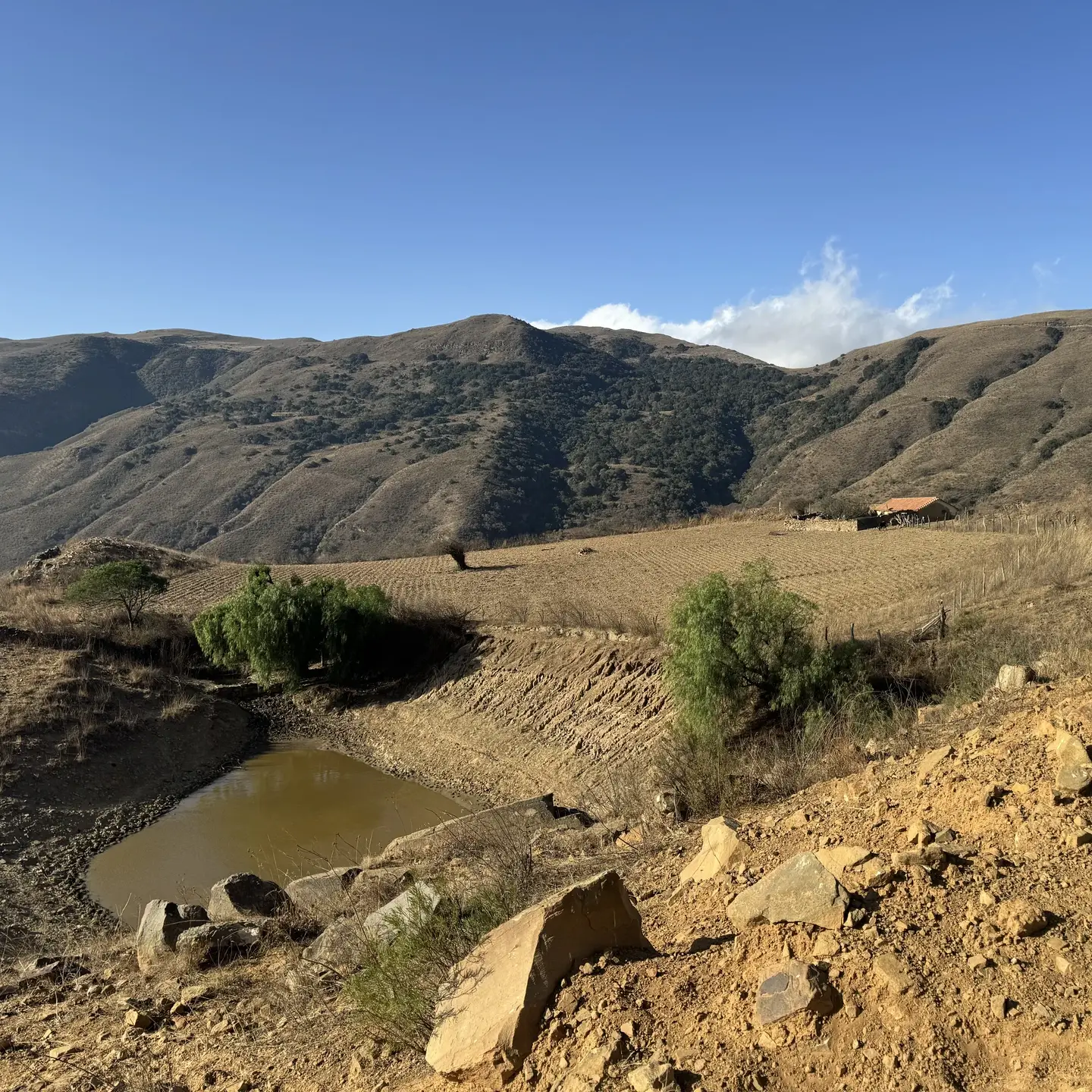 University of Idaho students are working to improve irrigation water access, retrieval and storage methods in the rural community of Potreros in Bolivia.  Representing the U of I College of Engineering’s Humanitarian Engineering Corps (HEC), students work directly with farmers and community members to identify infrastructure improvements that meet community needs.