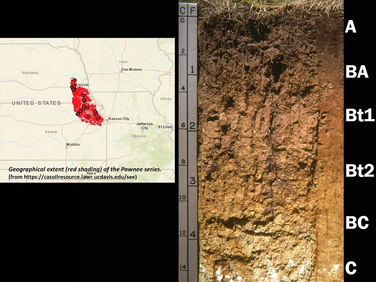 Oxyaquic vertic argiudoll in southeastern Nebraska
