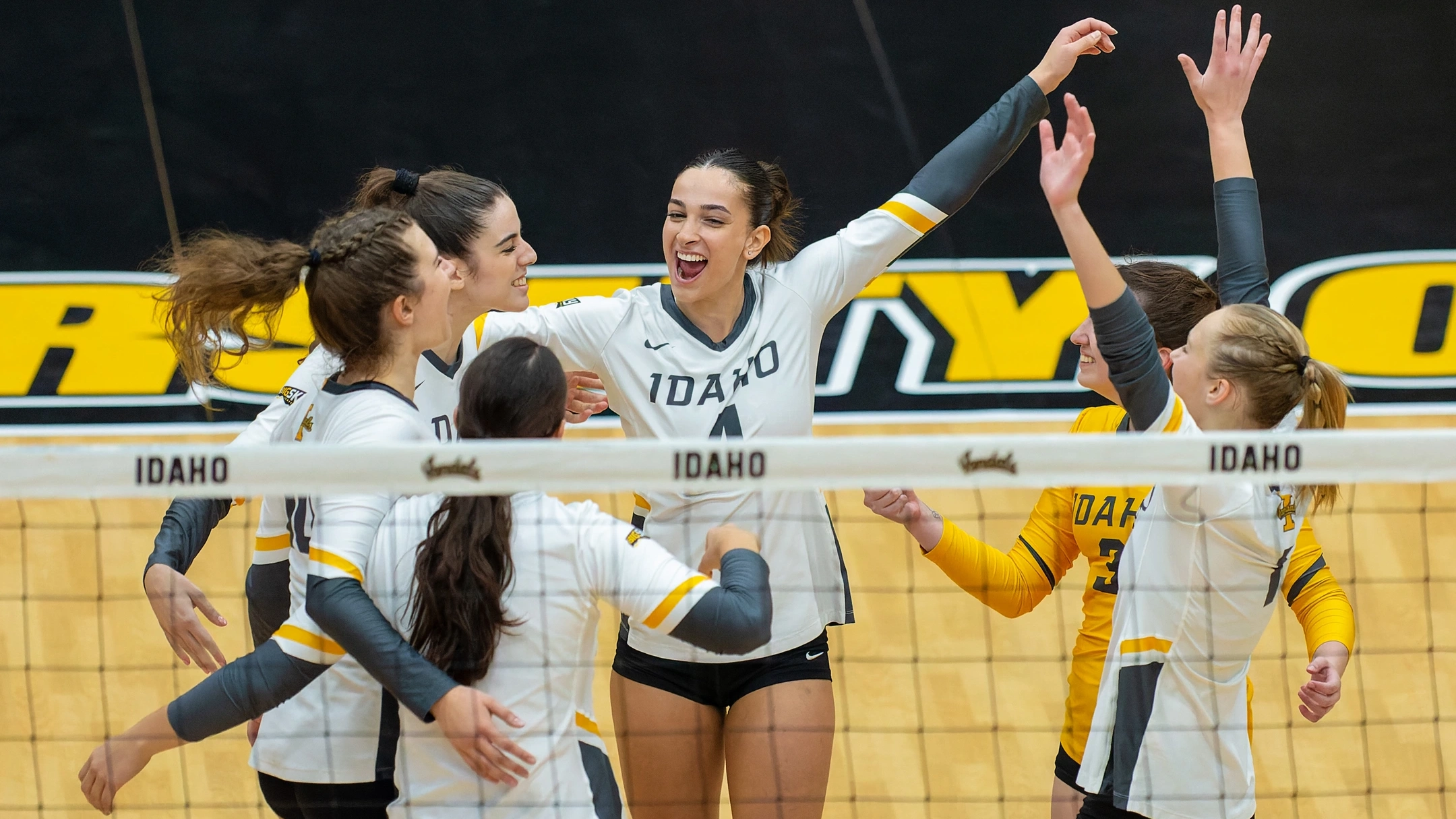 Athletics Volleyball versus the Montana State Bobcats.