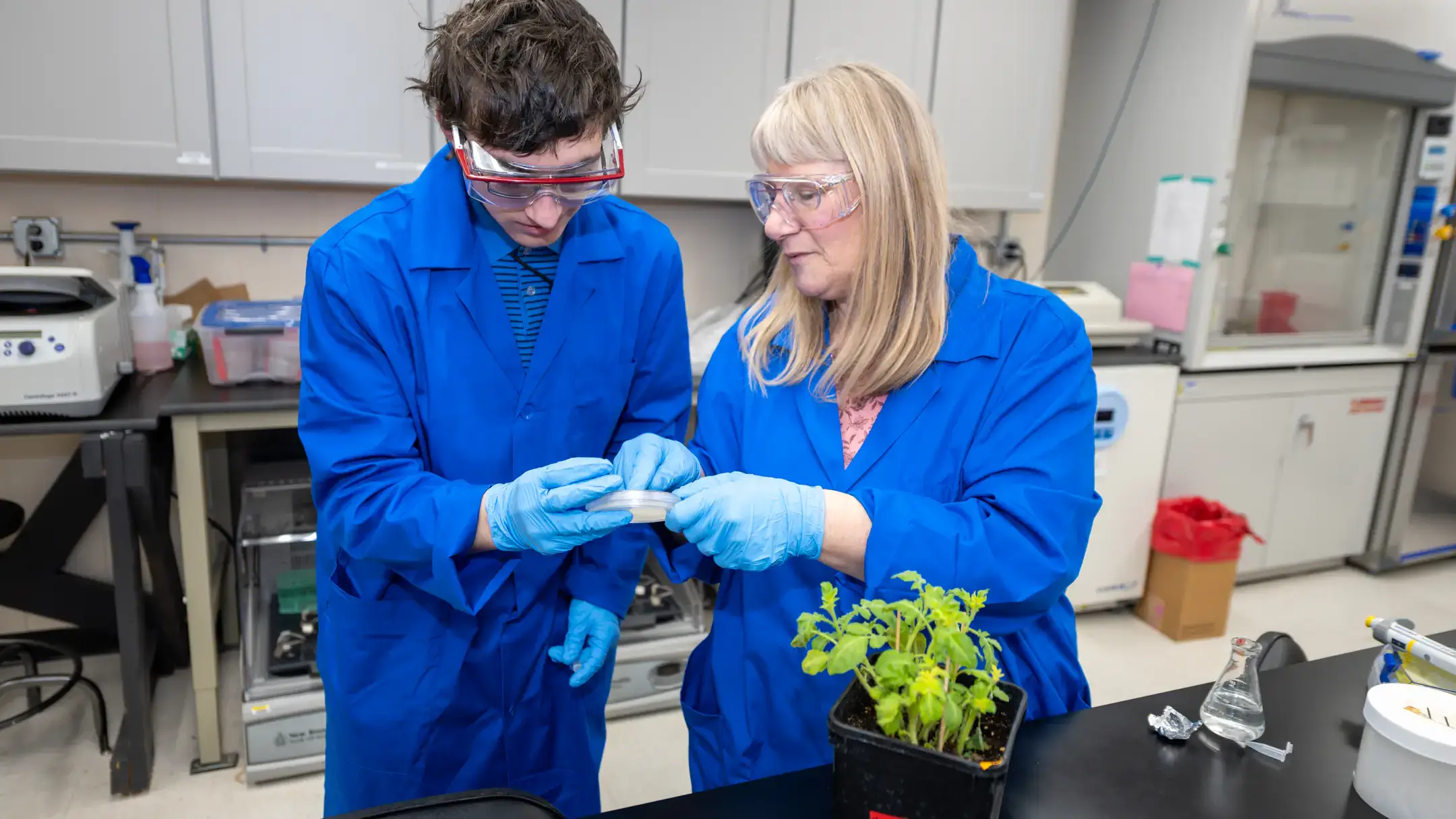 A scientist and an undergraduate student, both wearing blue lab coats, study a petri dish.