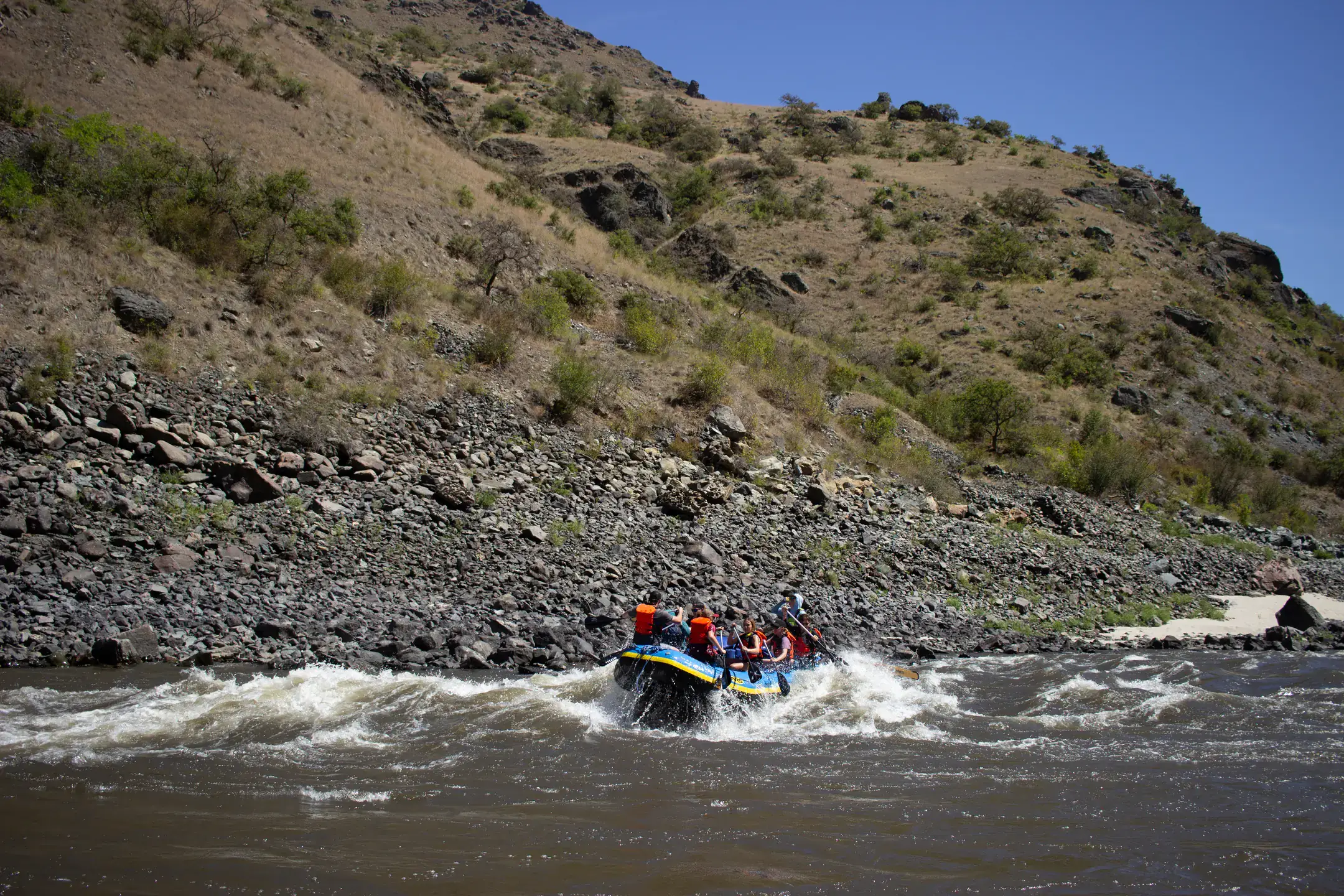 A Vandal Ventures rafting trip on the lower Salmon River in August 2023.