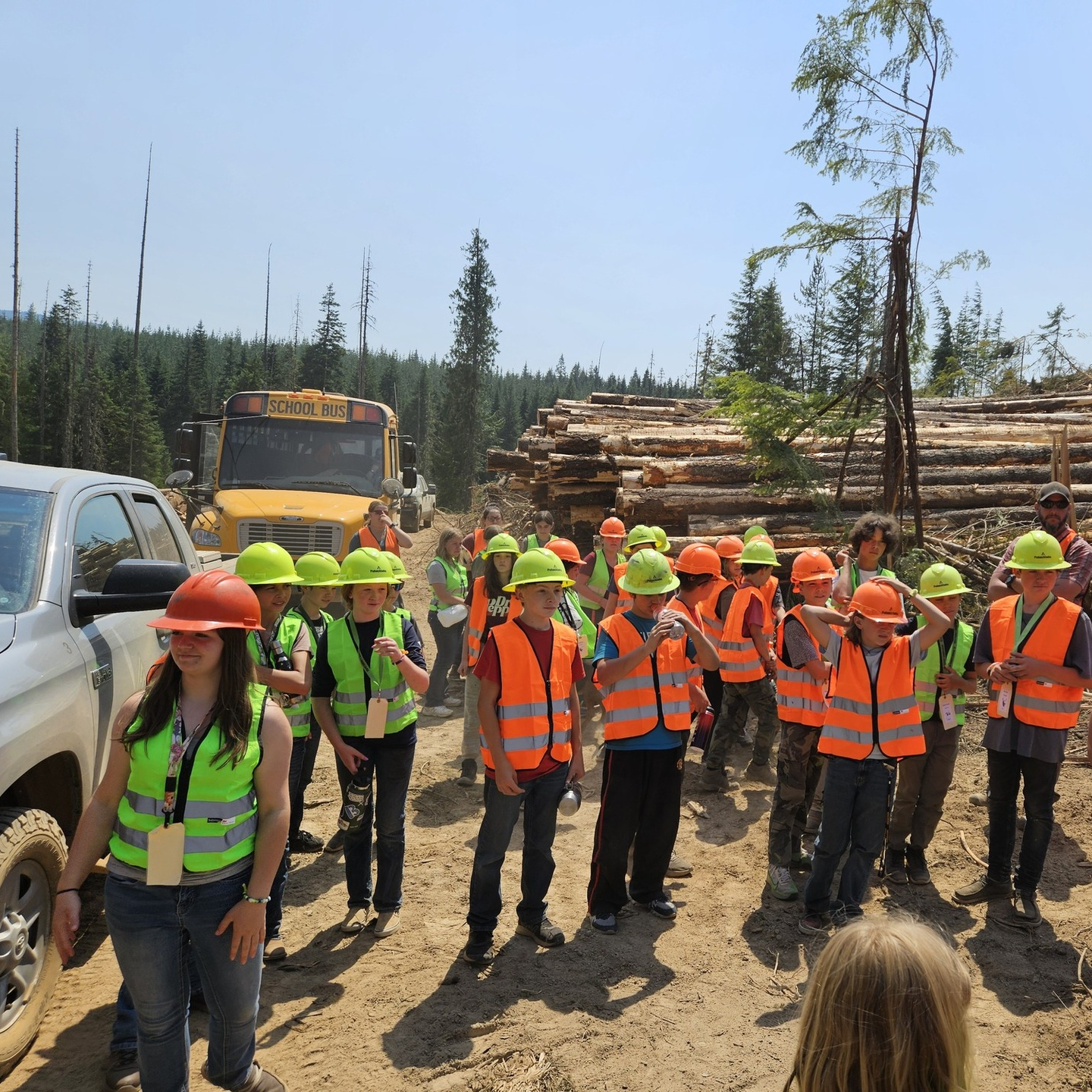 A large group stands in a logging operation wearing safety vests and hard hats.
