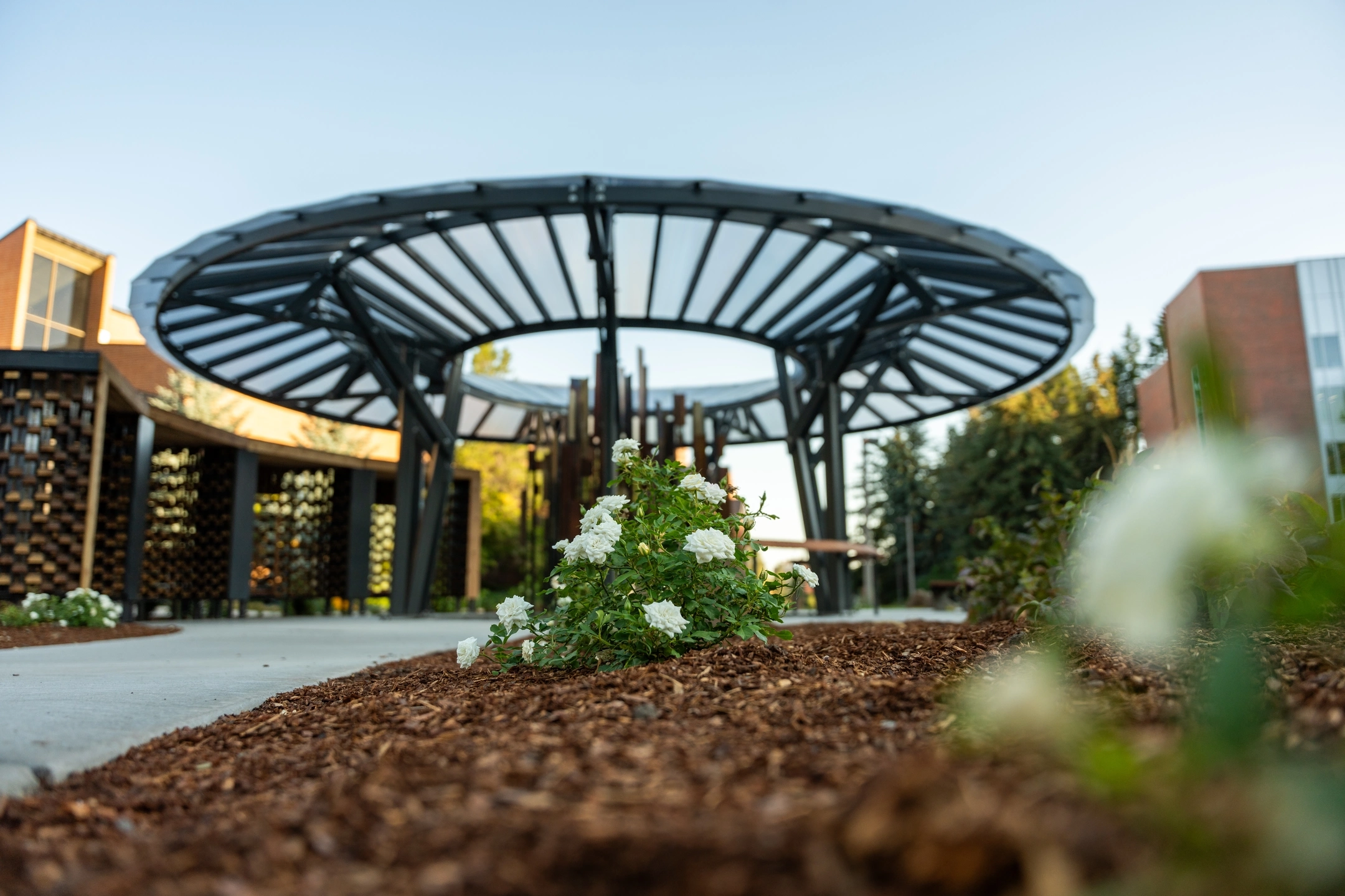 Construction of the Vandal Healing Garden on the University of Idaho Campus.