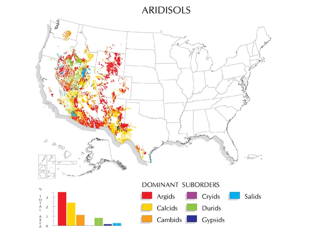 A graphic of aridisols