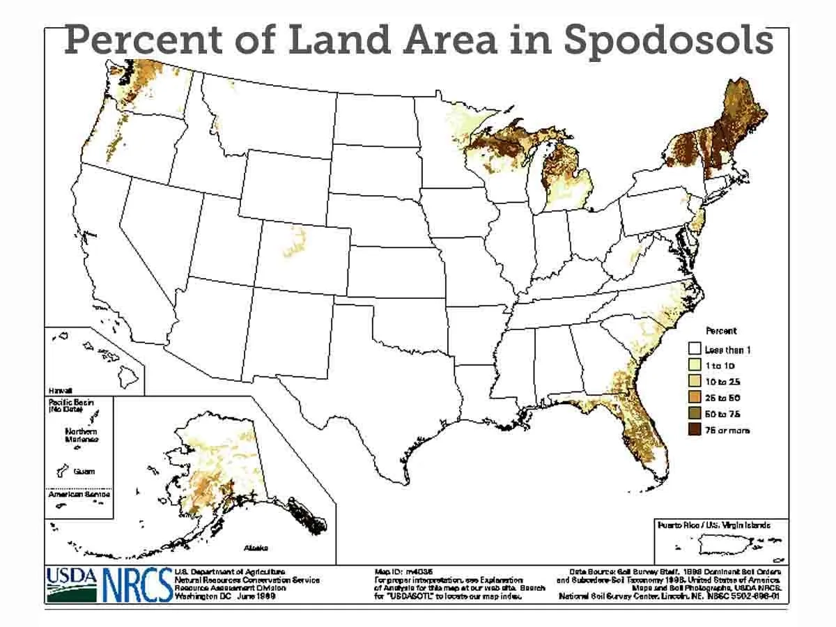 Percent of land in the United States in spodosols