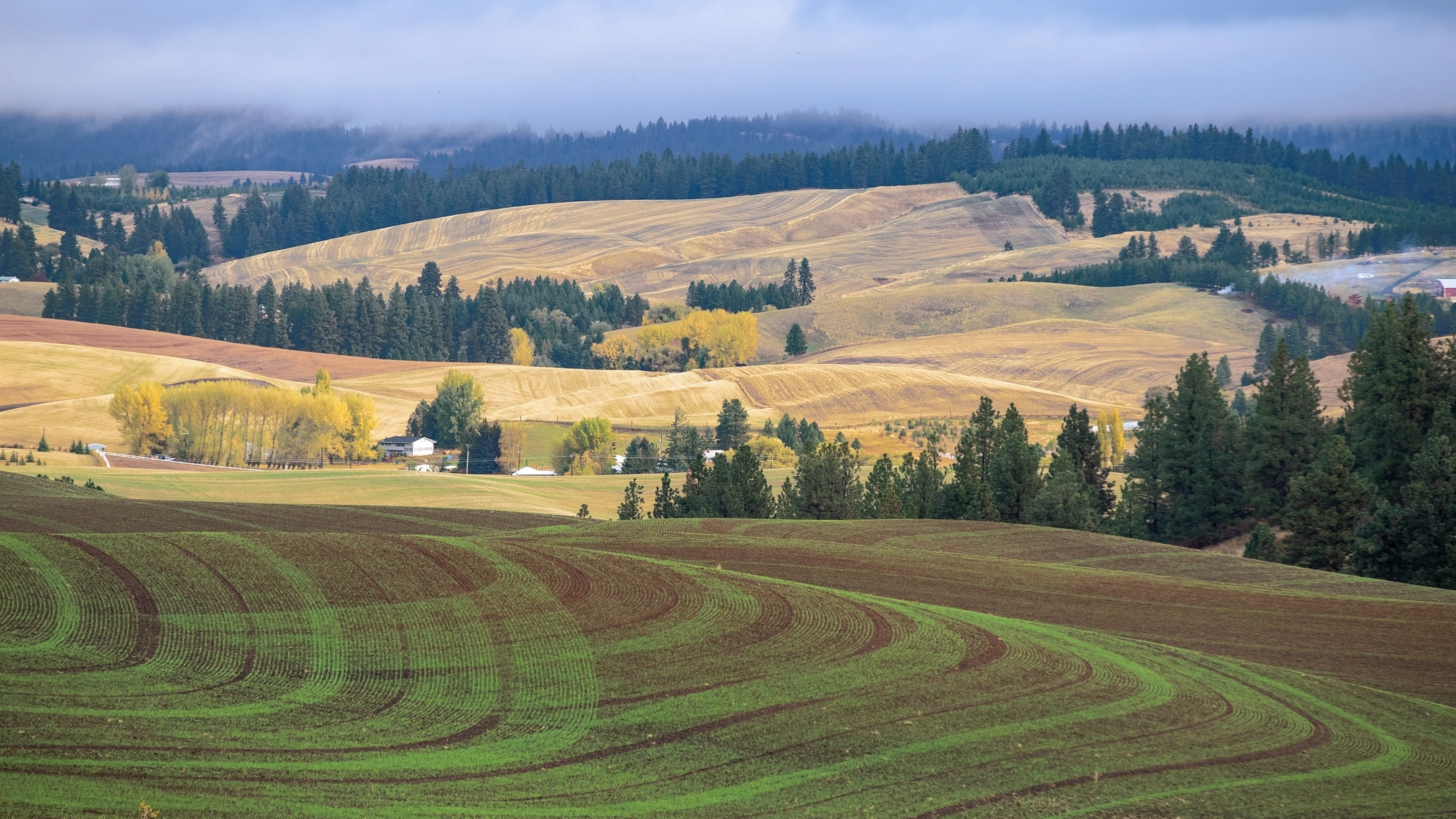 Palouse hills scenery in the fall.