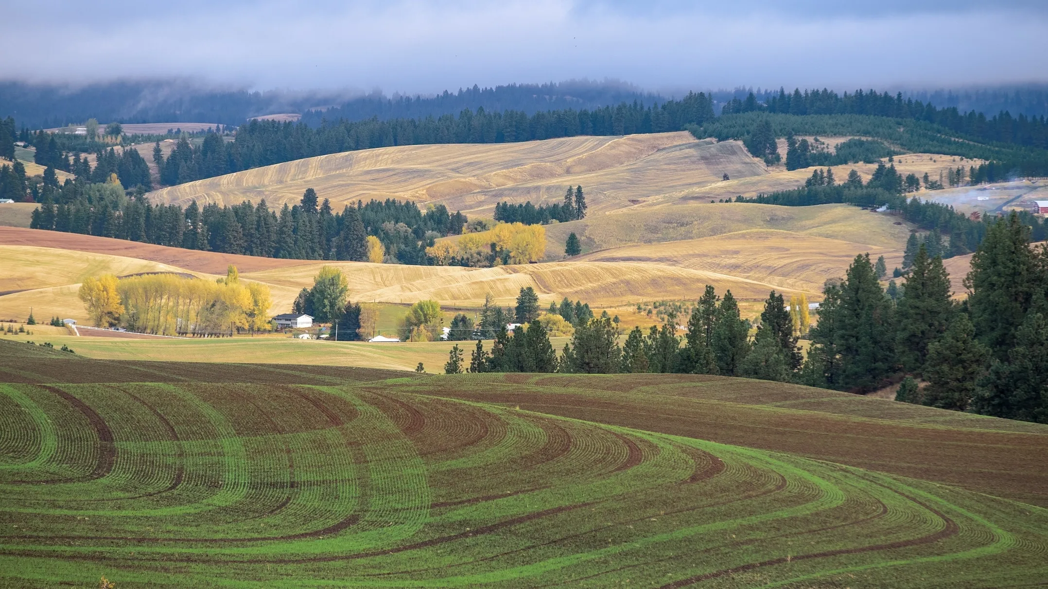 Palouse hills scenery in the fall.