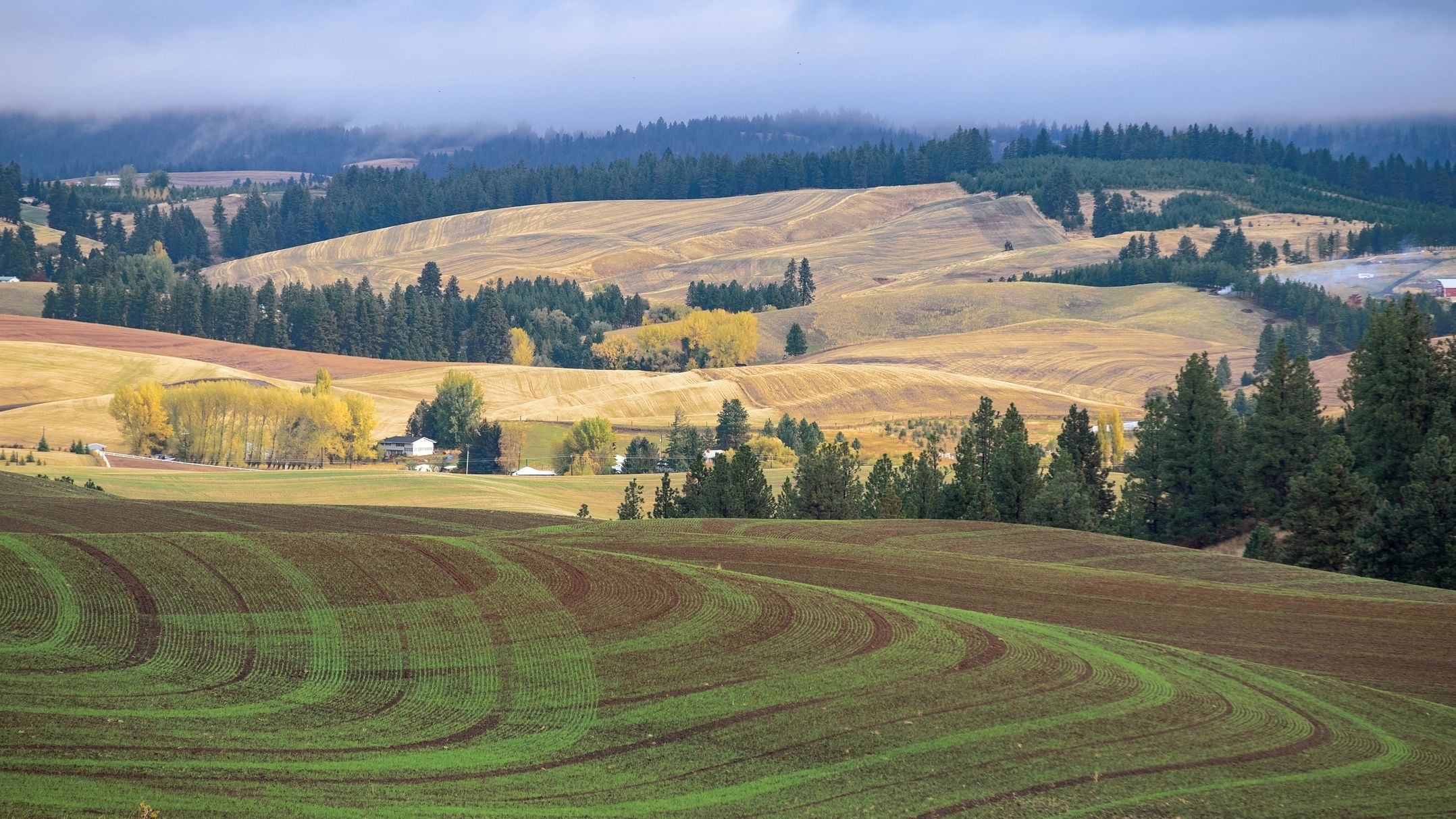 Palouse hills scenery in the fall.