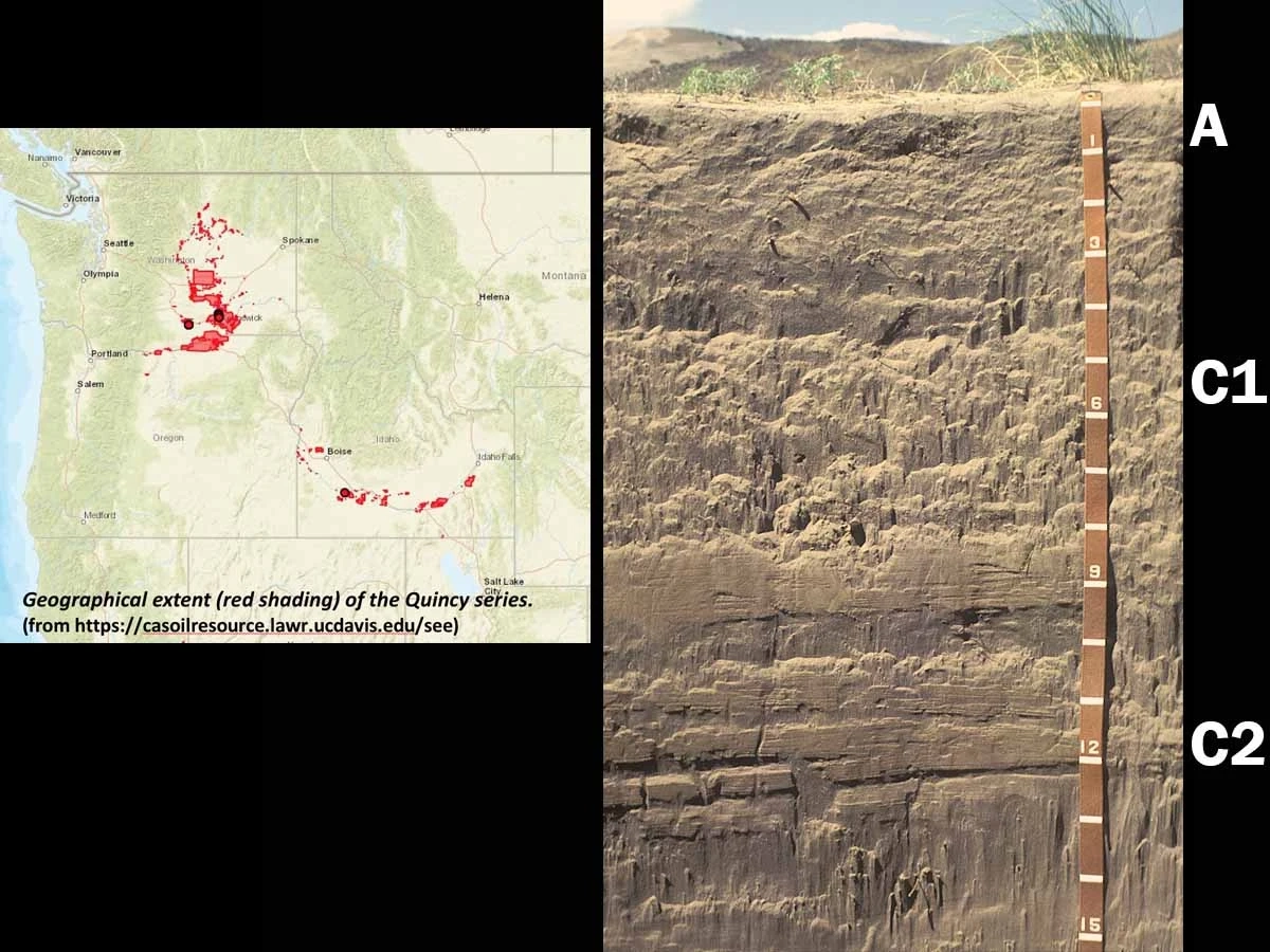 Entisols xeric torripsamment in Idaho