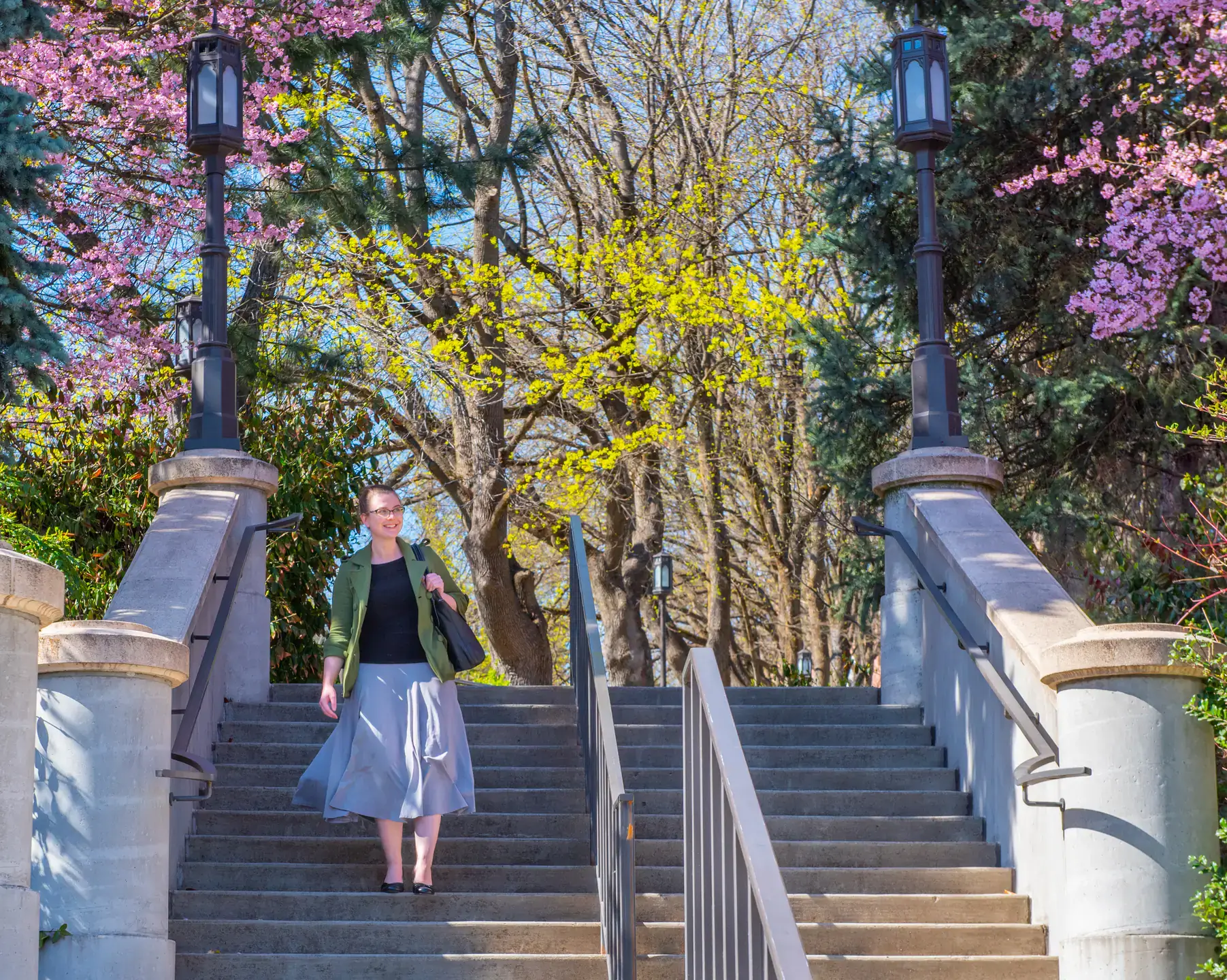 Stock of campus in the springtime