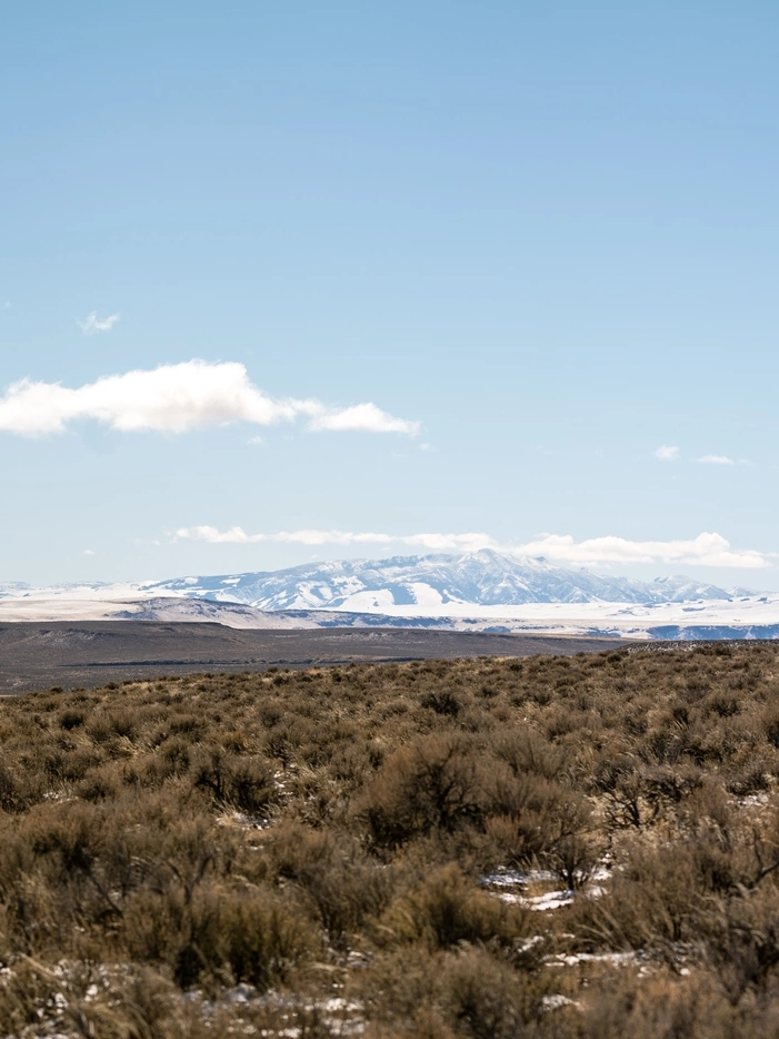 Land with a bunch of sage brush and a mountain in the background