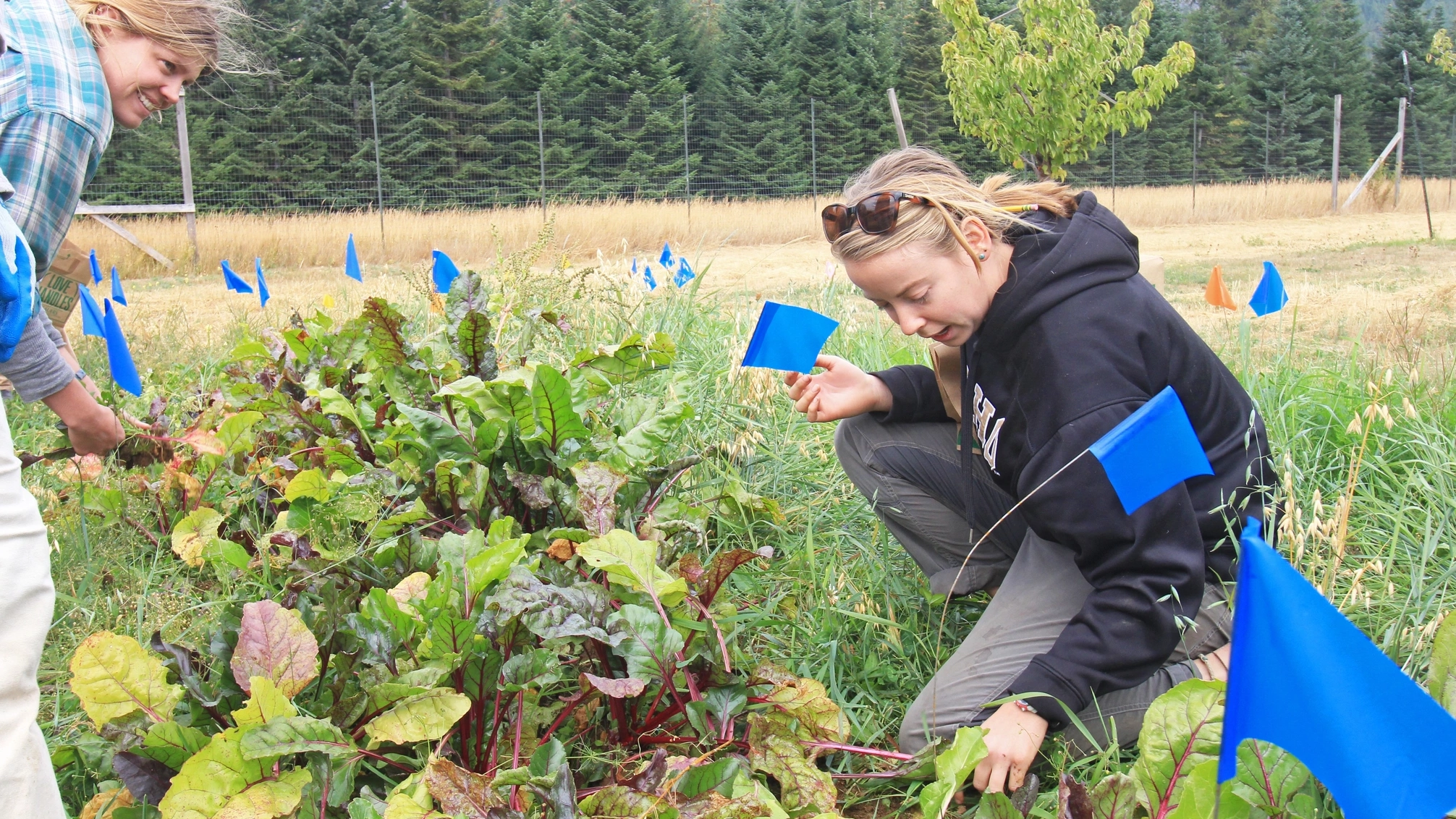 Sandpoint Organic Agriculture Center SOAC