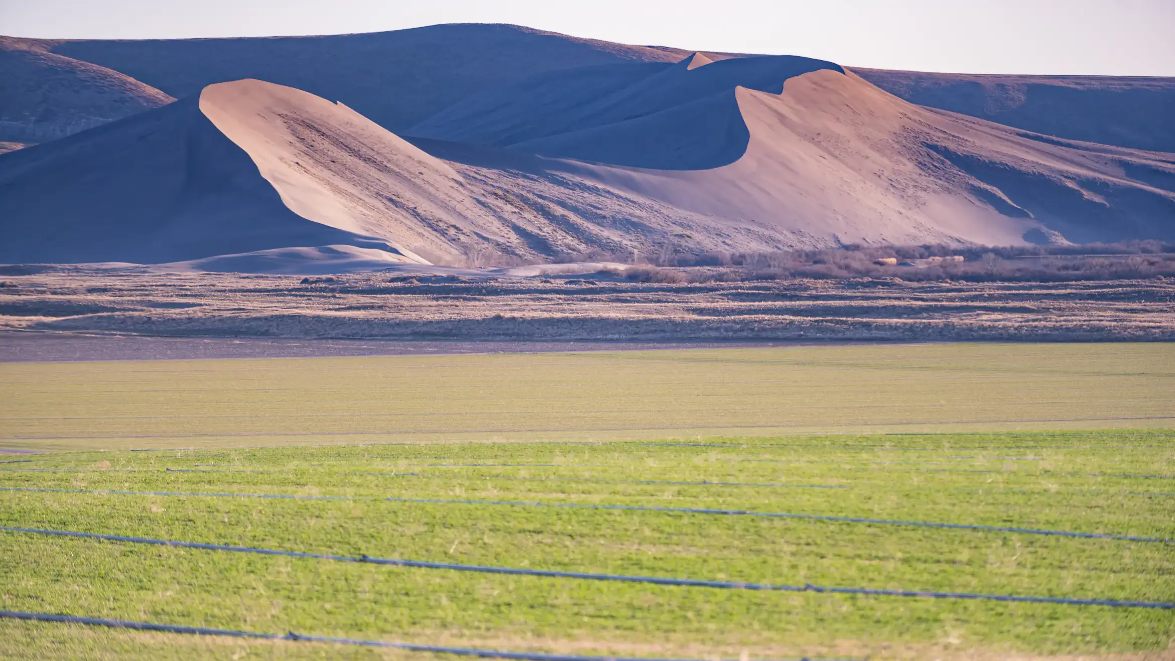 Alumni '05 College of Agricultural and Life Sciences at his farm in Hammett Idaho