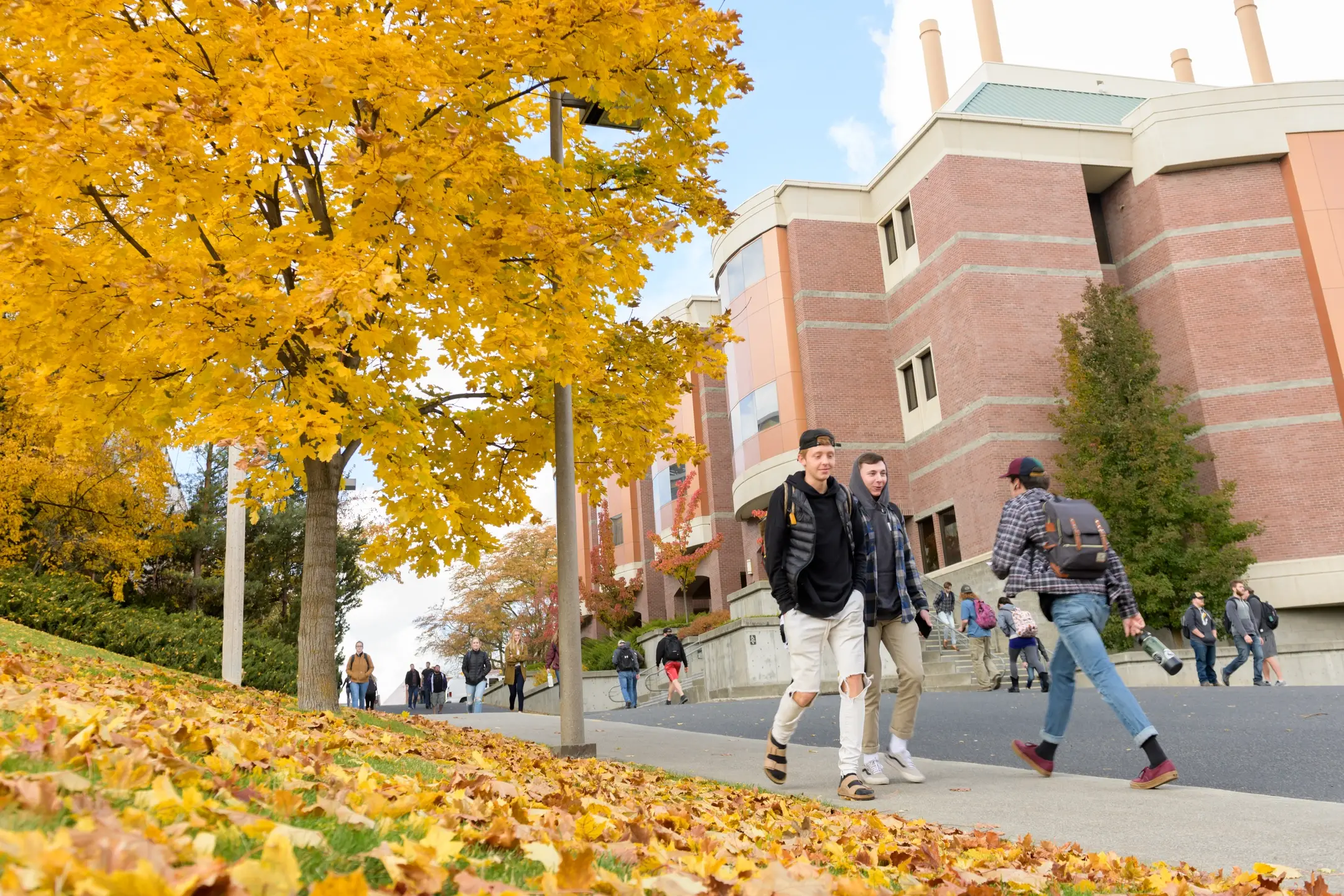 Unviersity of Idaho campus in the fall
