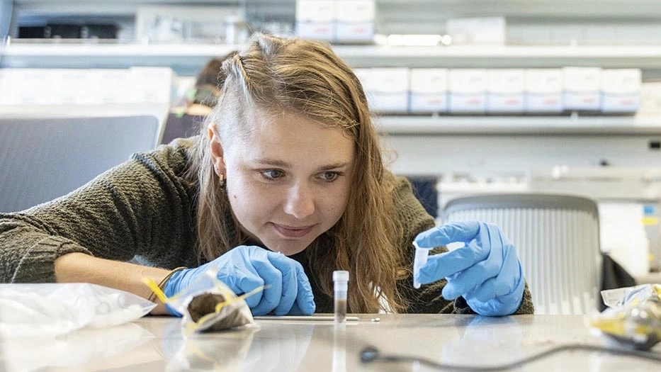 A student closely inspects soil samples in a laboratory.