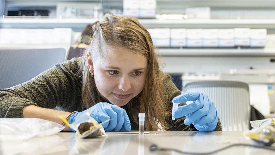 A student closely inspects soil samples in a laboratory.