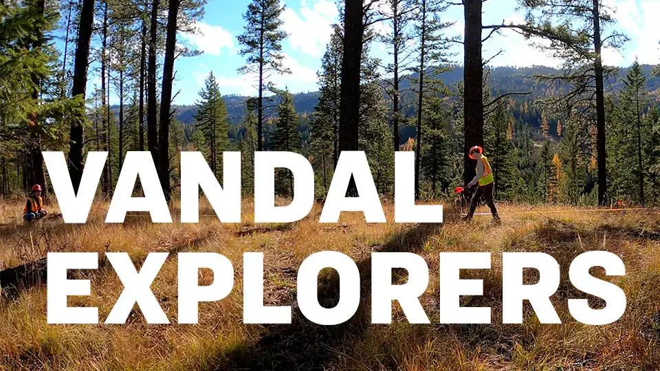 A person walks through a forest with text overlay, "Vandal Explorers".