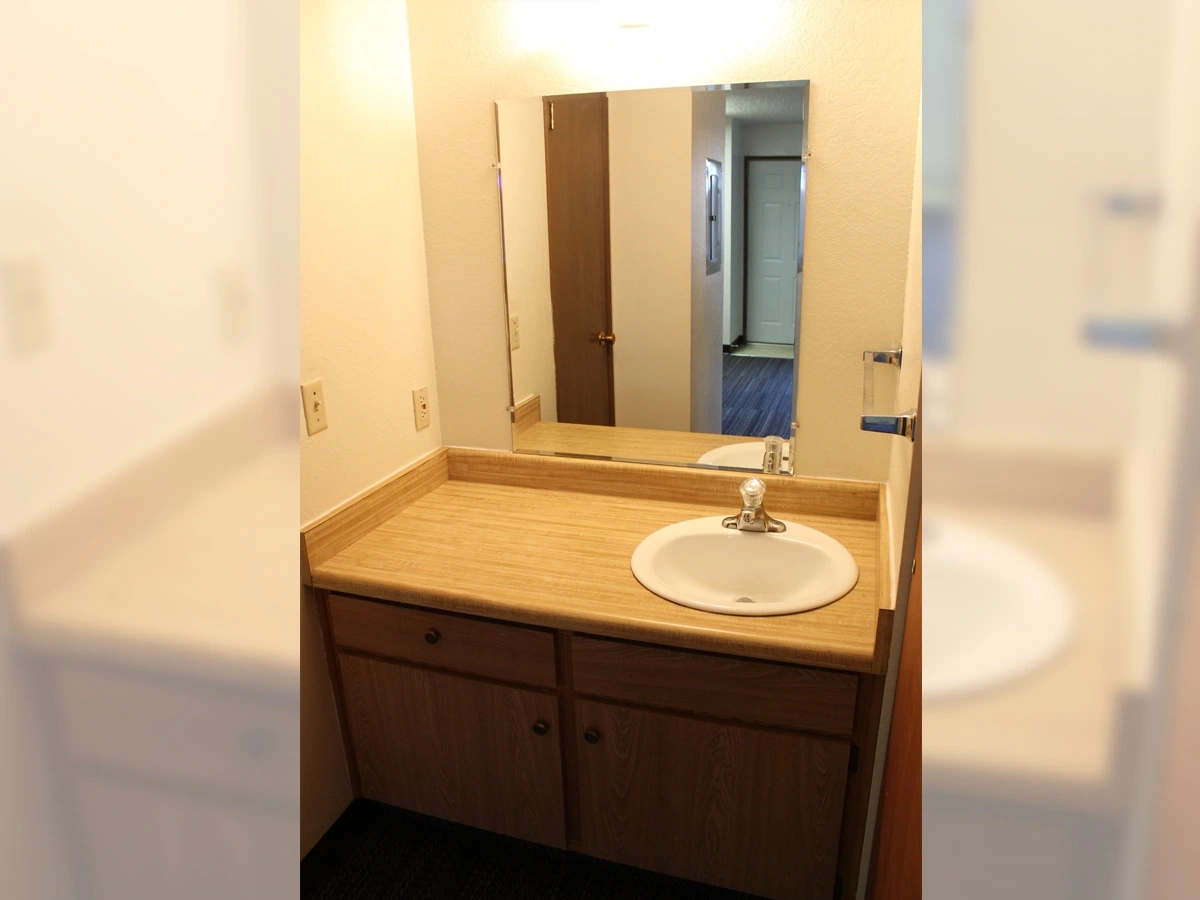 Elmwood bathroom sink