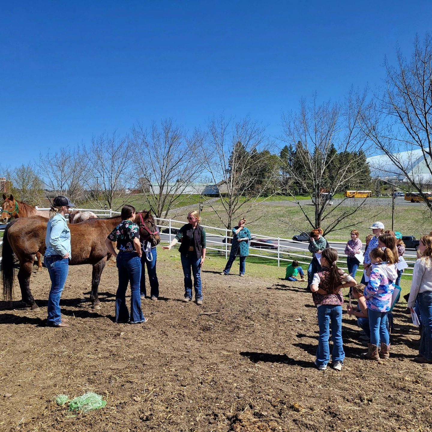 Several young people watch an instructor with a horse in a corral.