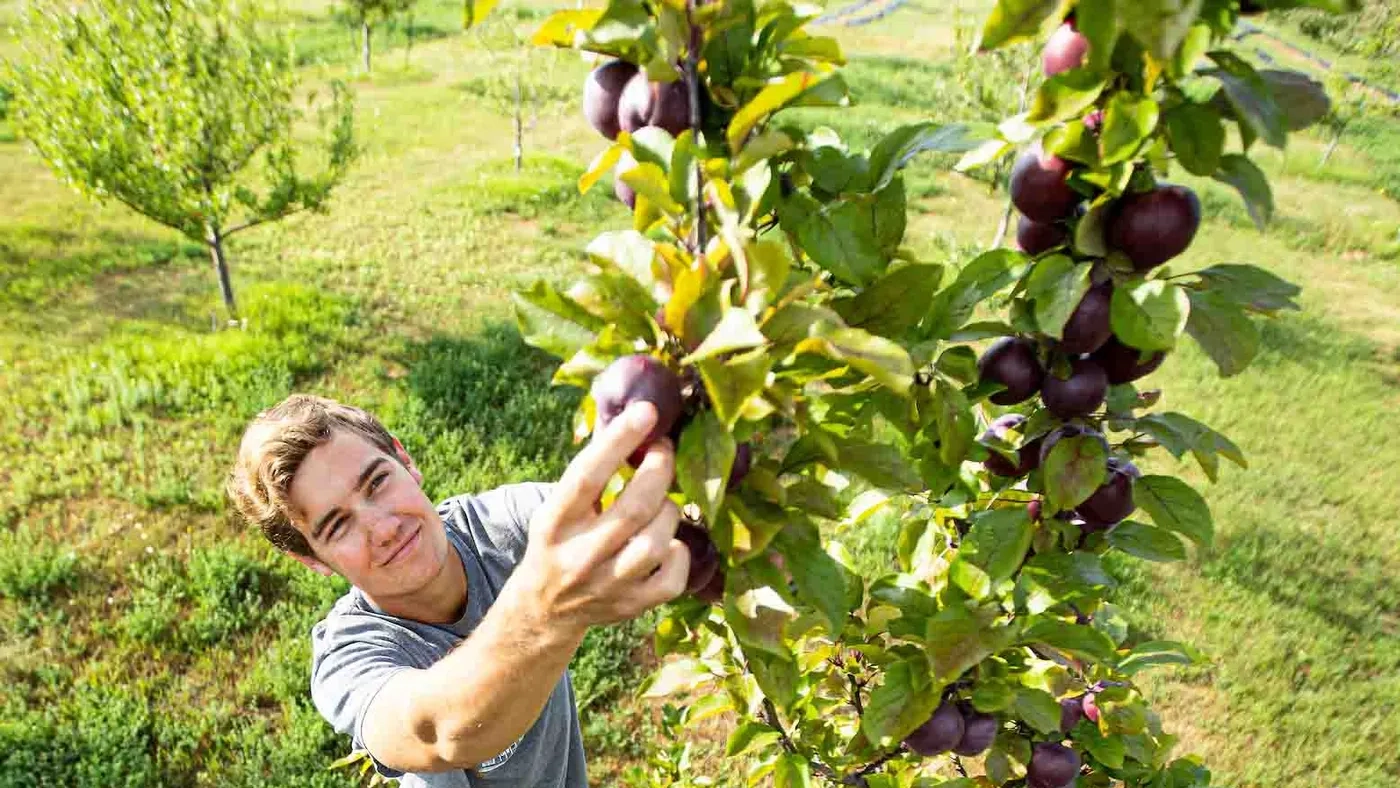 Sandpoint Organic Agriculture Center SOAC