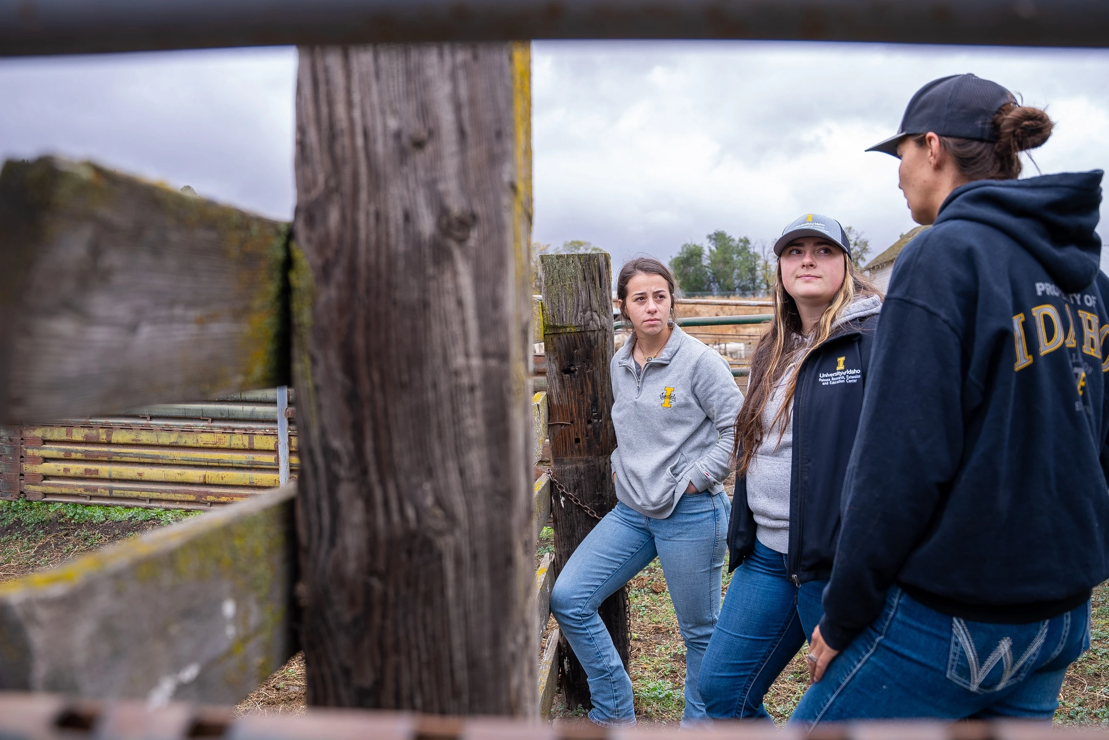 Emma Macon a CNR student studying Rangeland Science shows Virtual Fence technology for cows.