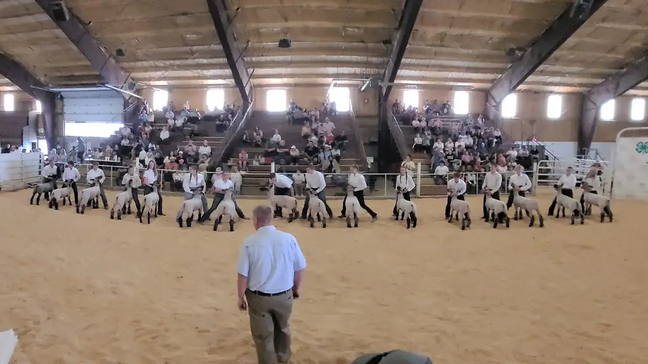 4-H photos and files located in counties