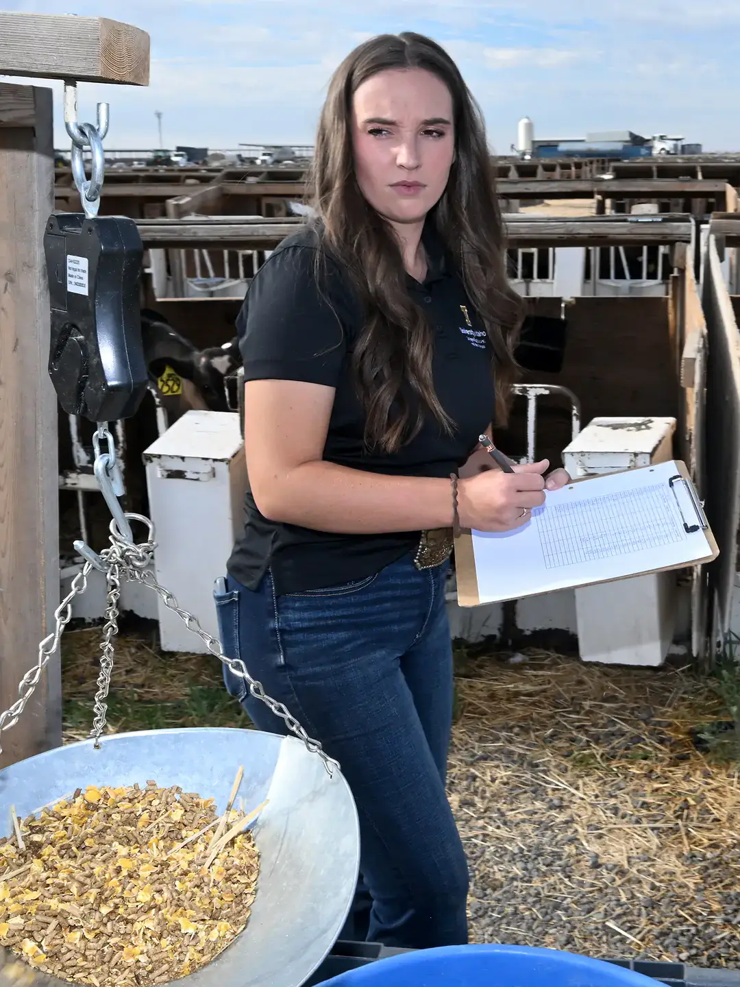 A woman holding a clipboard stands in a calf housing area near a scale containing feed.