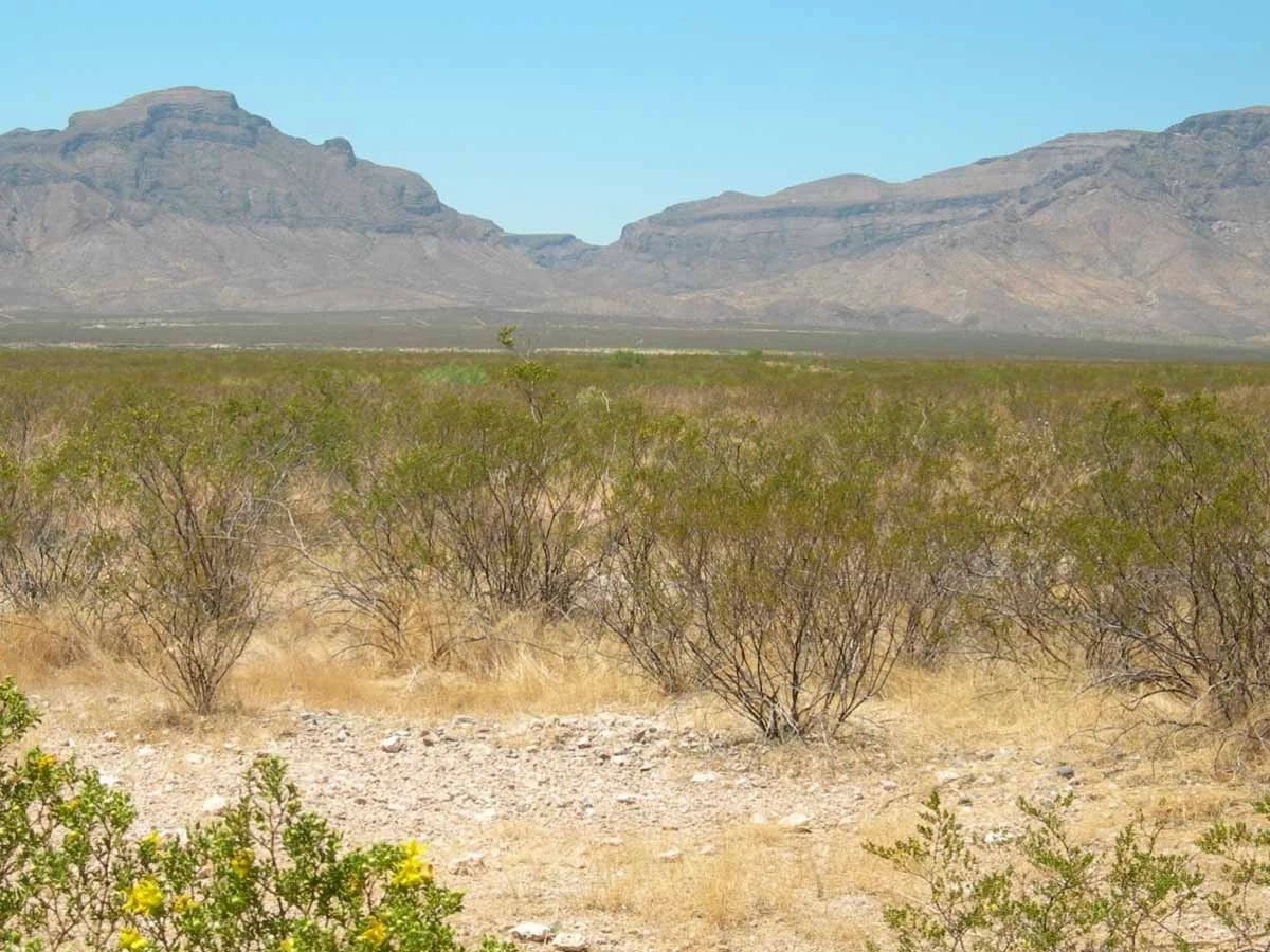 A photo showing aridisols in a petroargid landscape