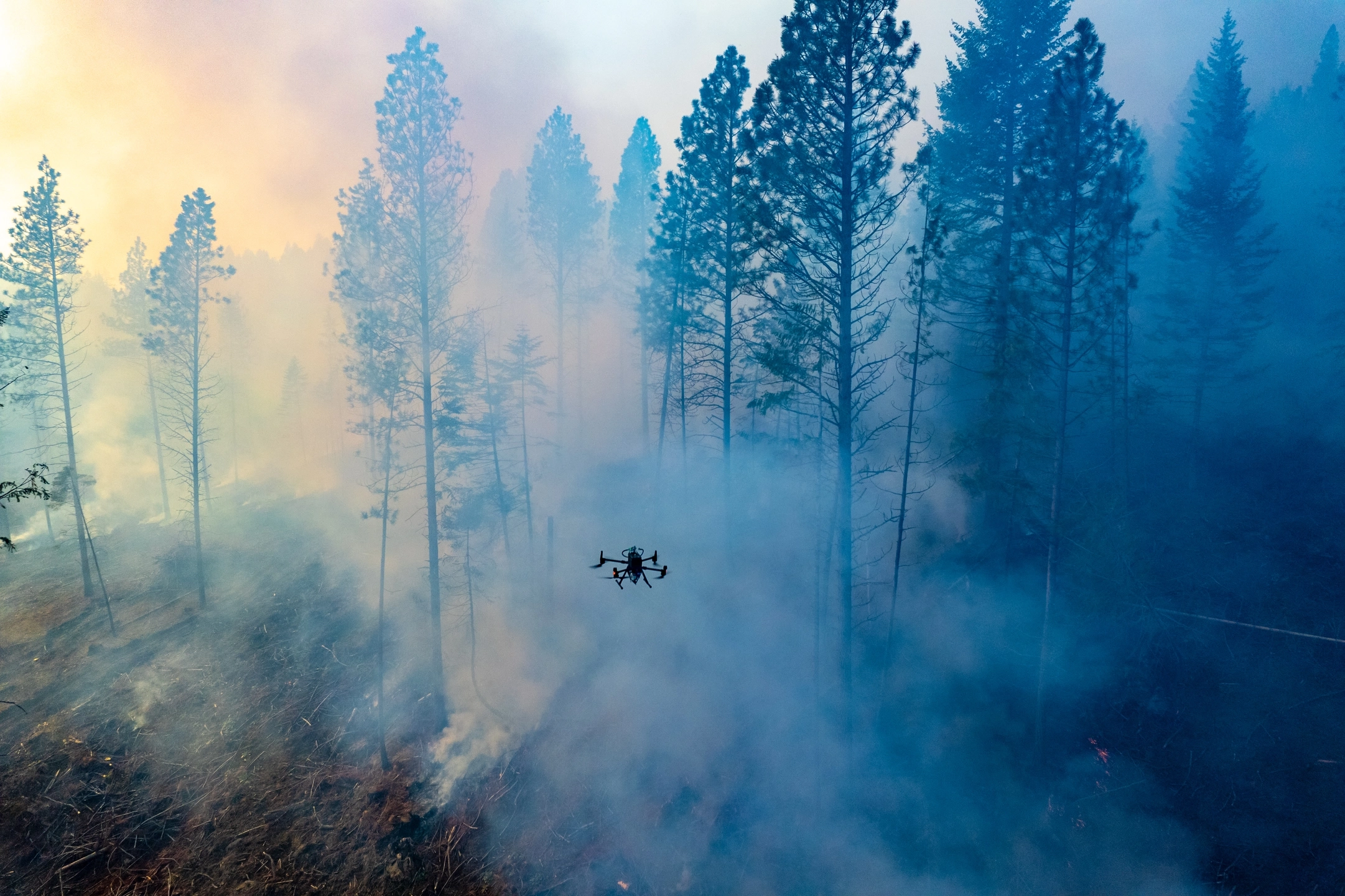 College of Natrual Resource University of Idaho Experimental Forest prescribed burn