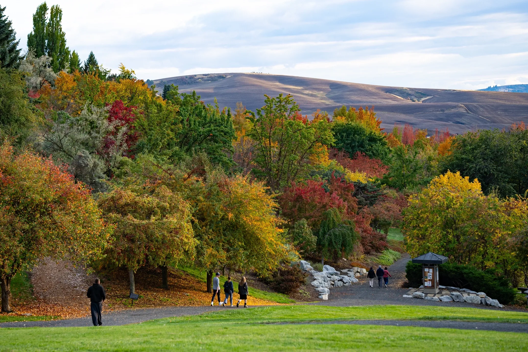 University of Idaho Moscow campus seasonal campus photos in the fall.