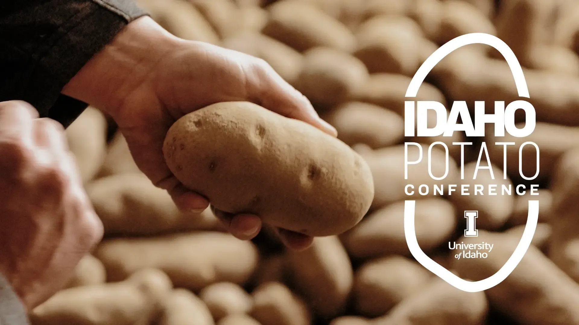 Photos of event logo and cows in a field