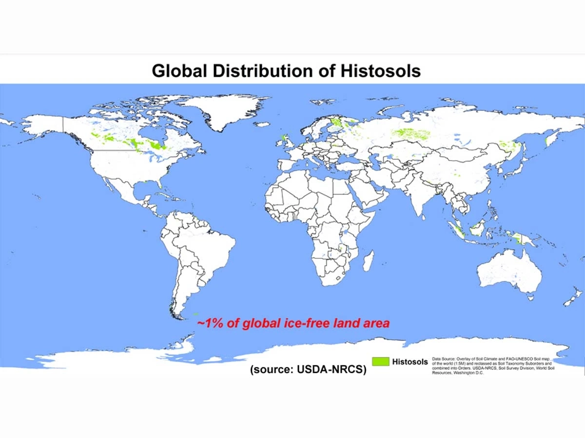 Global distribution of histosols