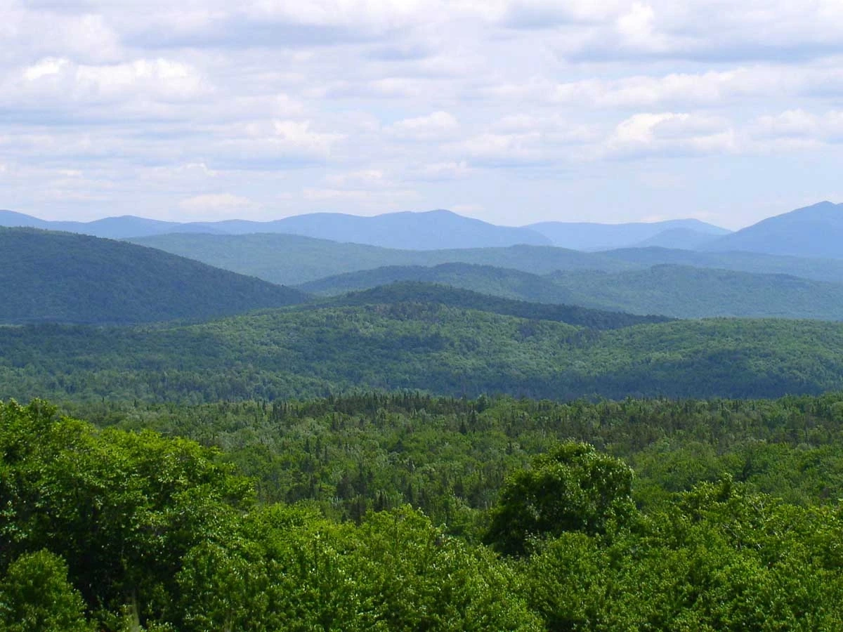 Haplorthod landscape in Vermont