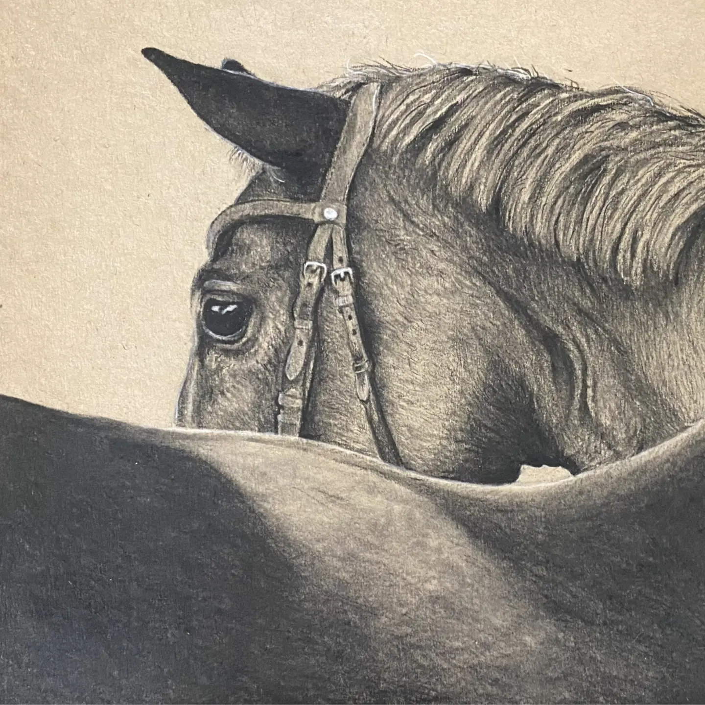 Third place winner of the CAA Art Exhibit show.
