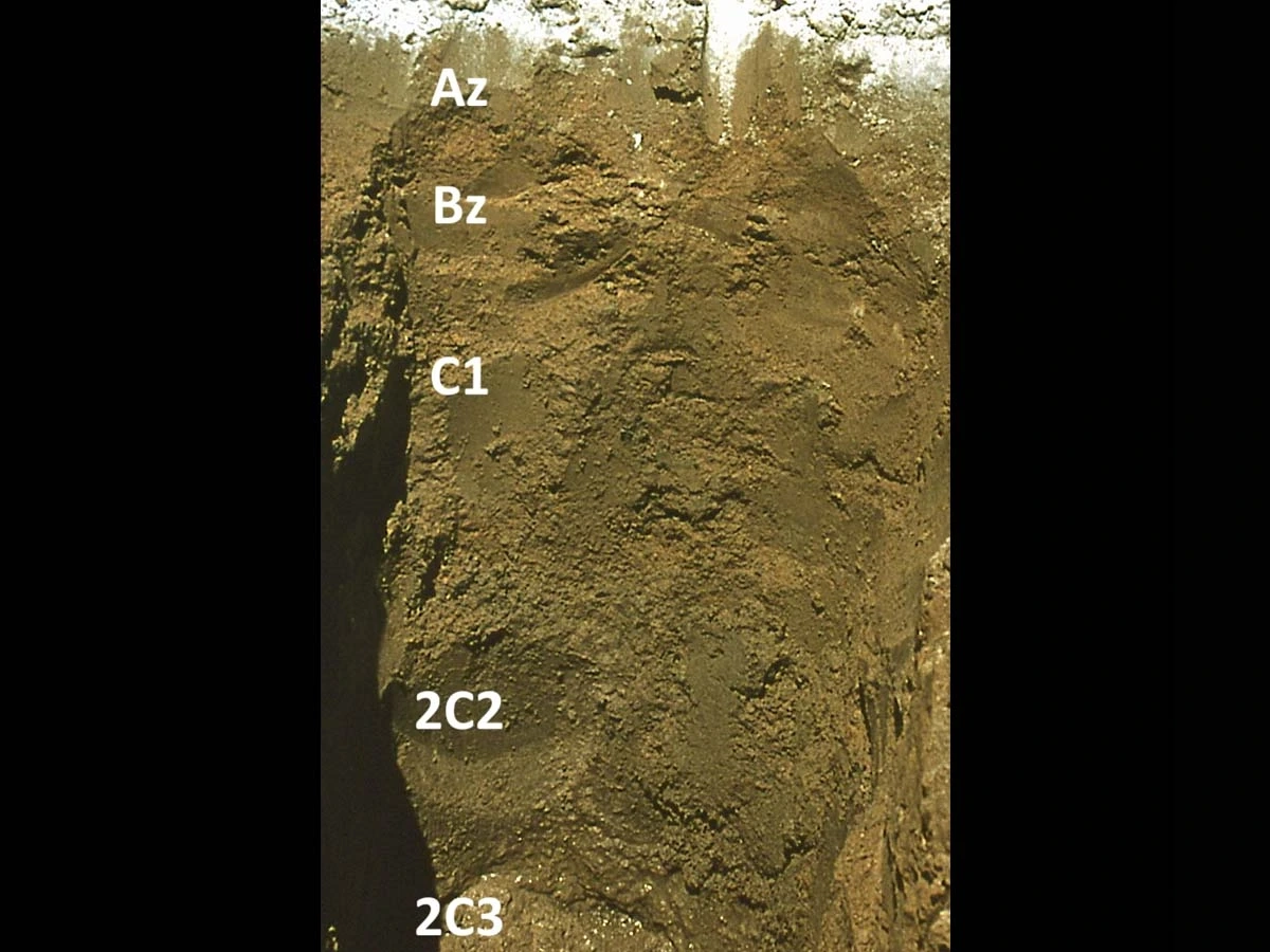 A photo showing aridisols of typic aquisalid in Nevada