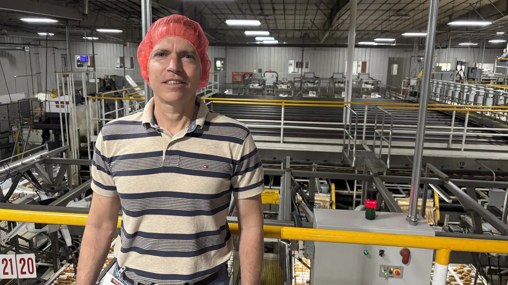 A man wearing a hairnet stands on a balcony overlooking fresh potato packing bins and conveyors.