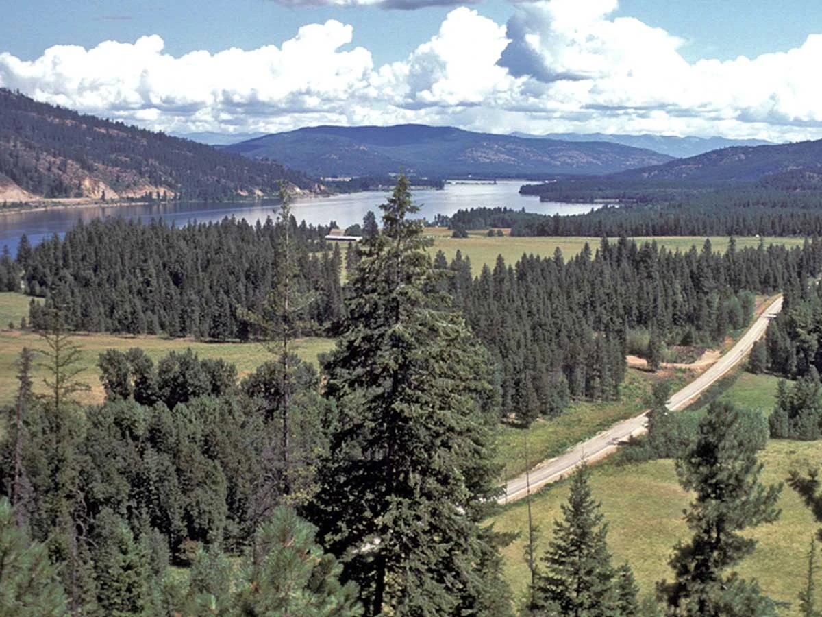 A landscape of woodlands and in the background a lake and mountains