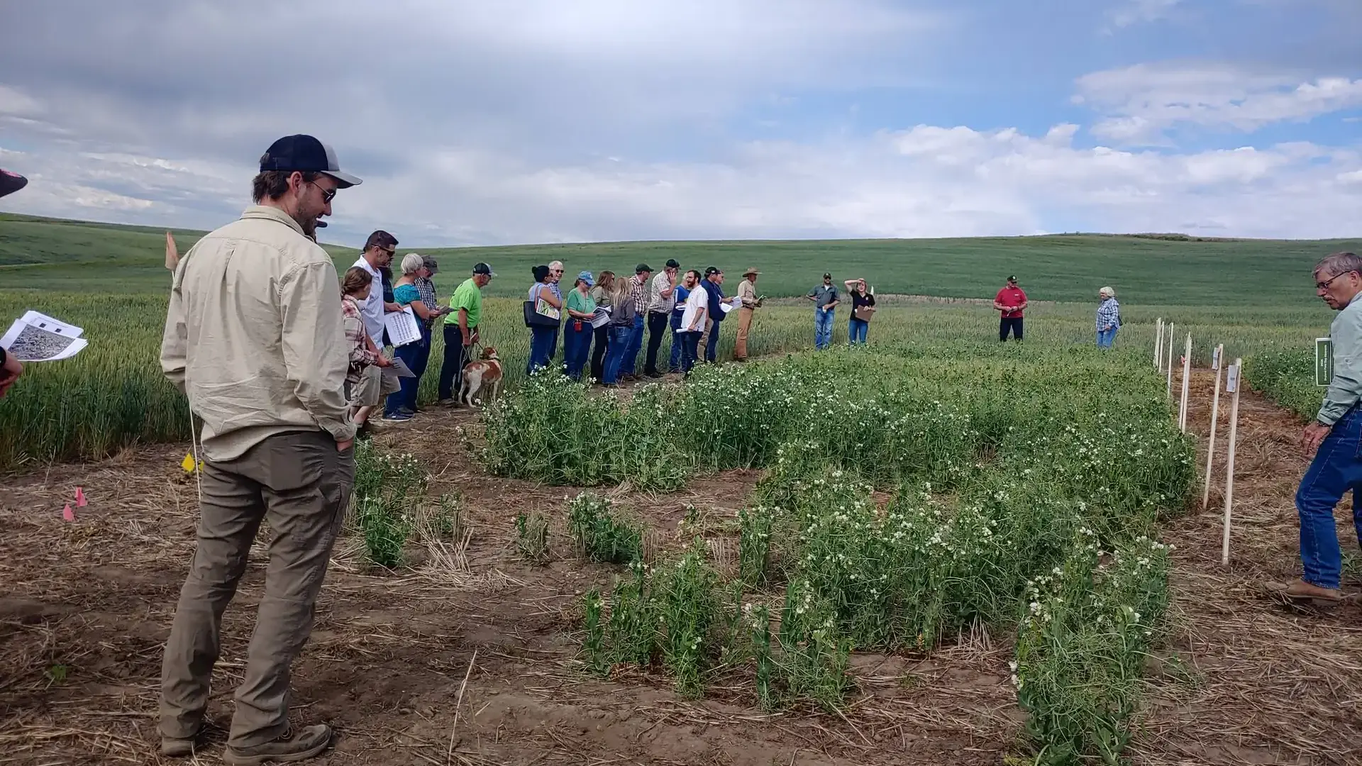 UI Extension program photos and files in counties