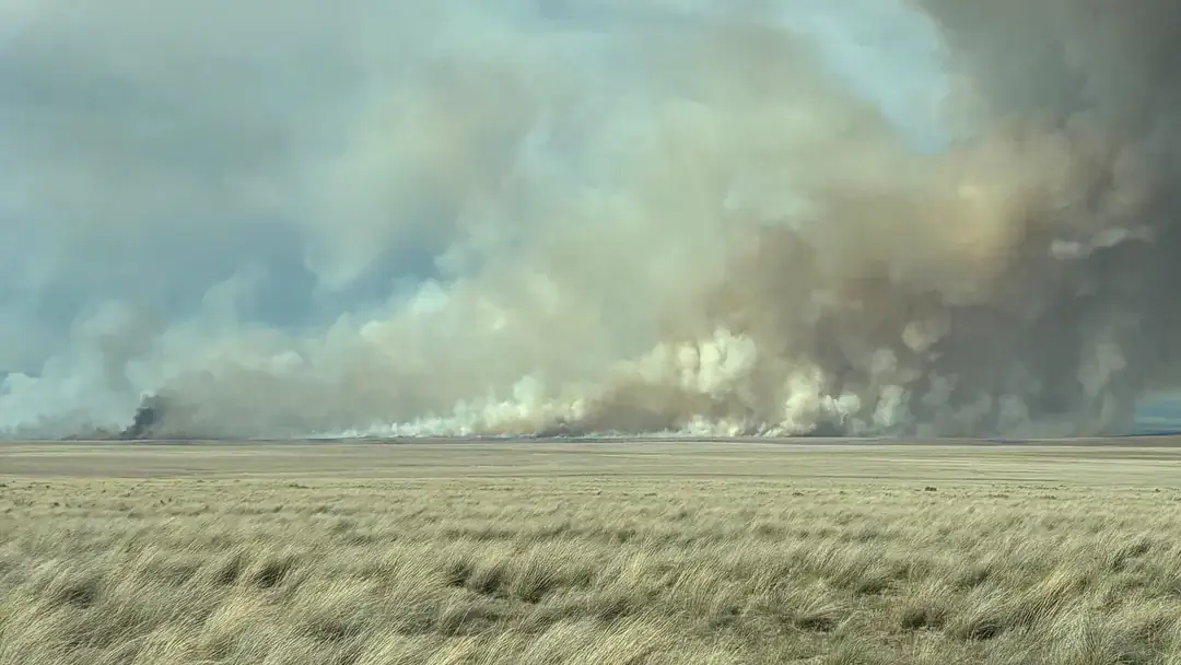 A landscape with dry grassland under a blue sky and a large plume of smoke rising in the background, indicating a fire.