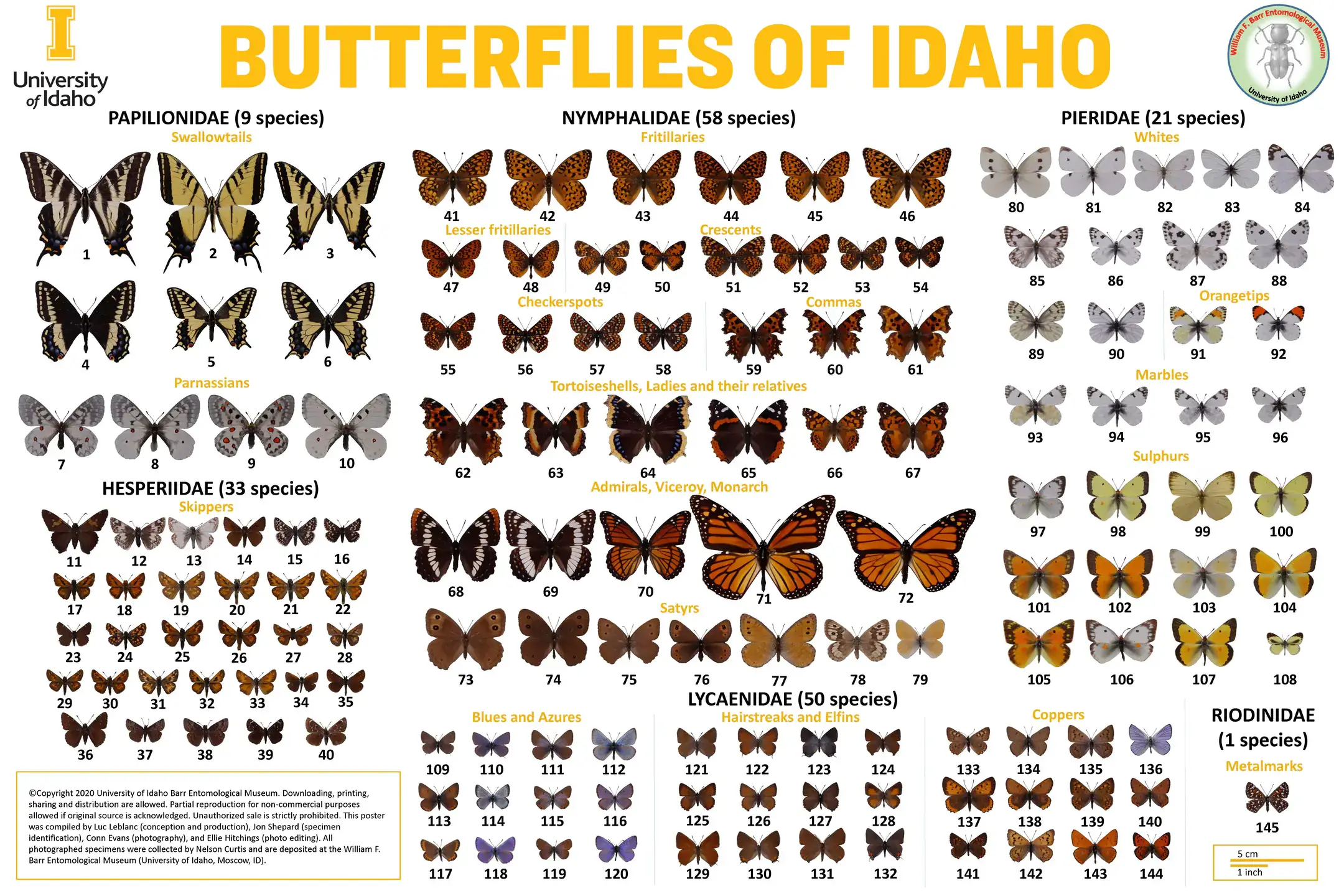 butterflies-of-idaho-poster.jpg
