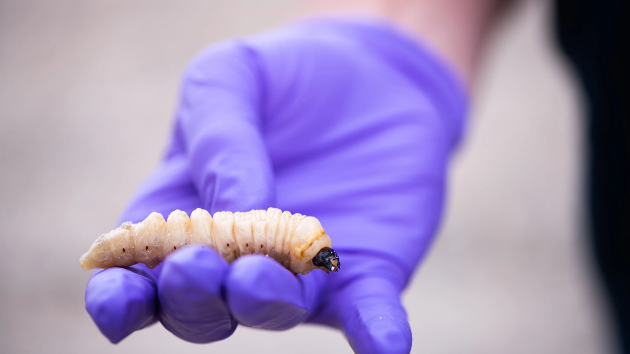 University Communications and Marketing Statewide tour 2020