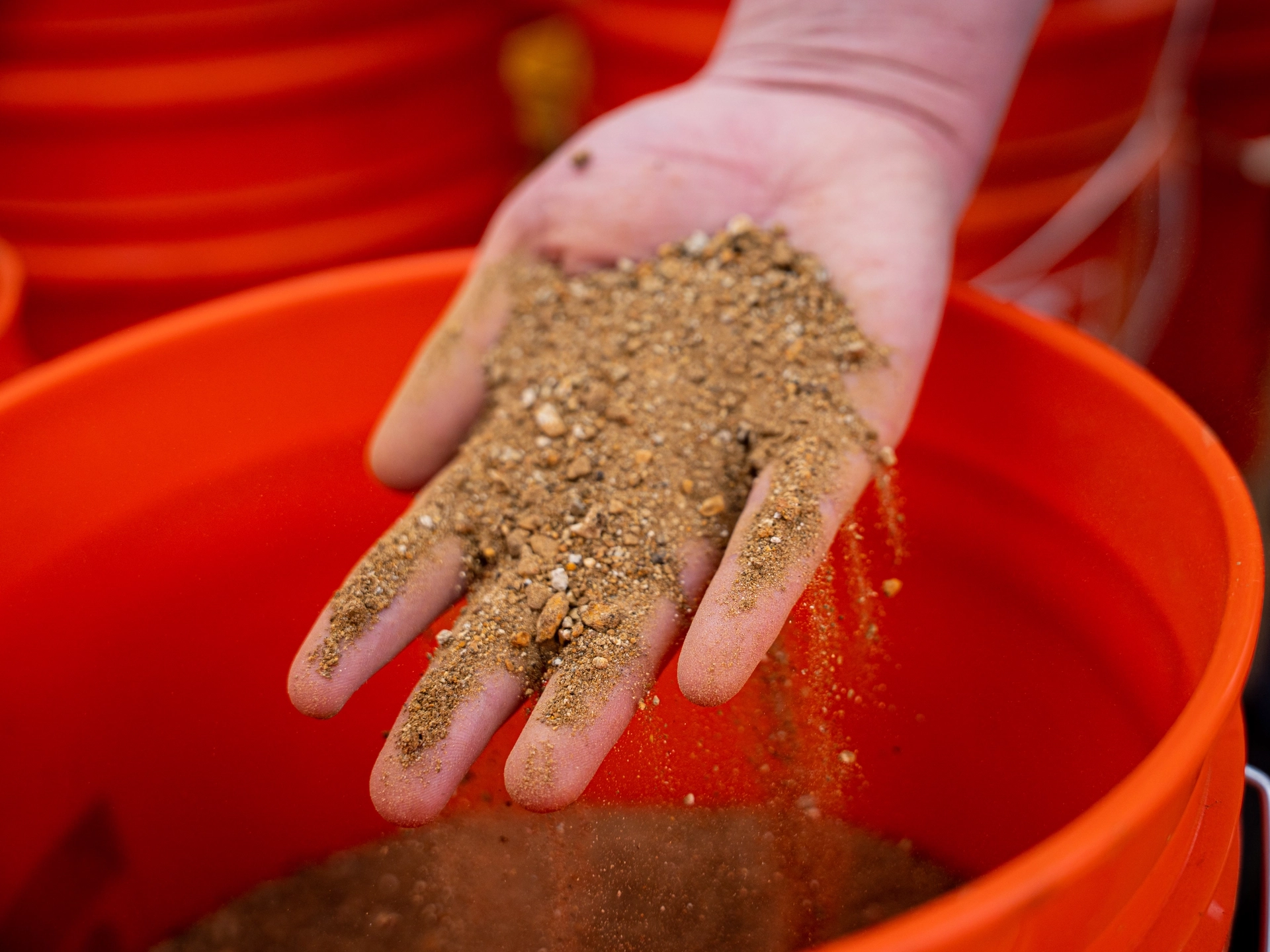Hand in dirt