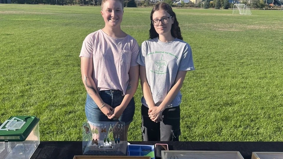 Two ladies behind a table of insects in glass cases