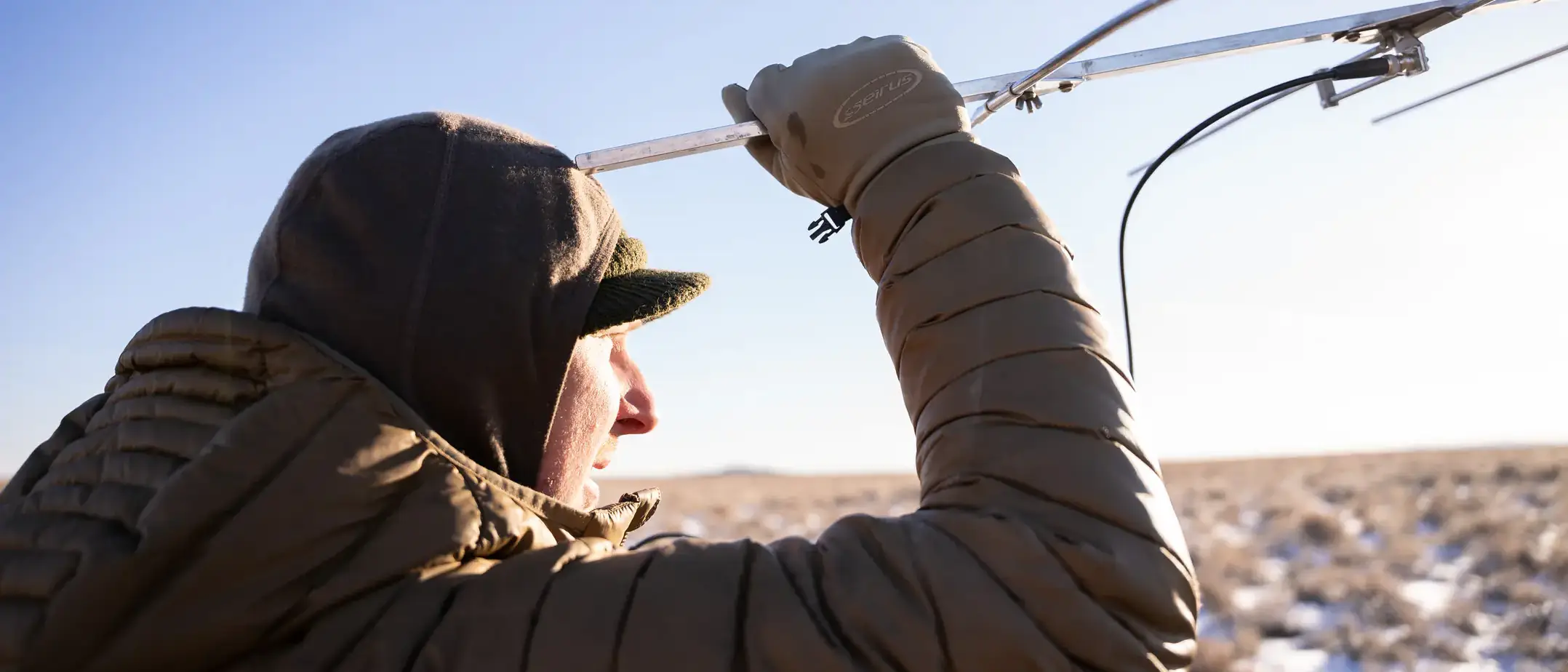 Courtney Conway’s 10-year study on the effects of ranching on sage grouse populations.